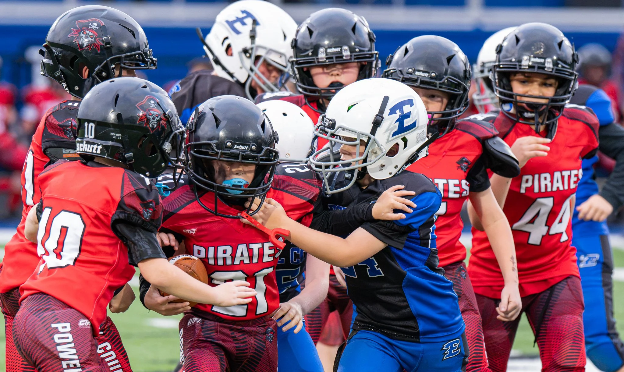 DSC_8258.jpg