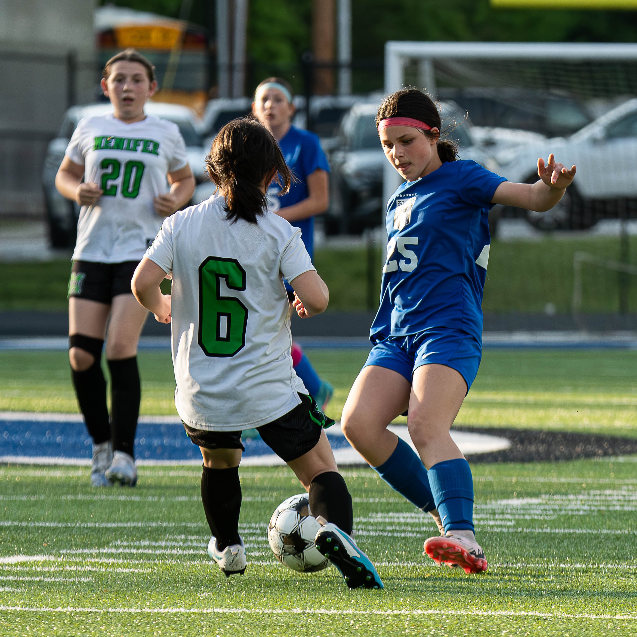 DSC_6176-Enhanced-NR.jpg