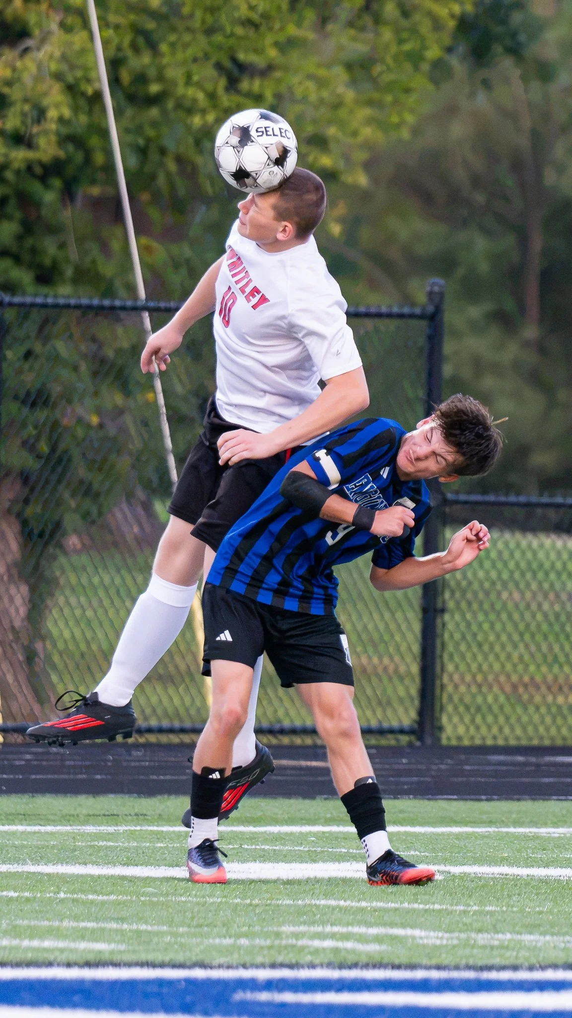 DSC_3678.jpg