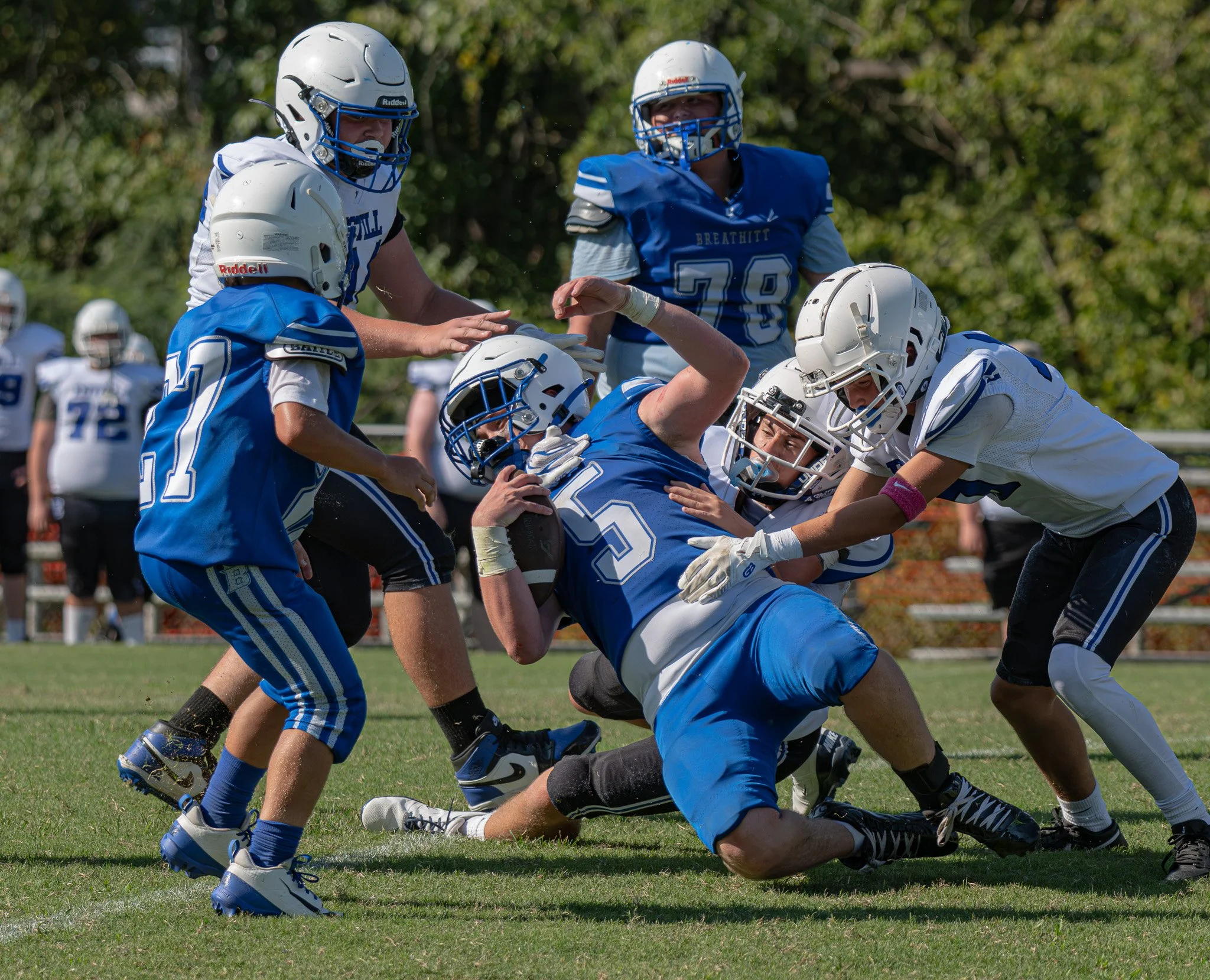 DSC_1814.jpg