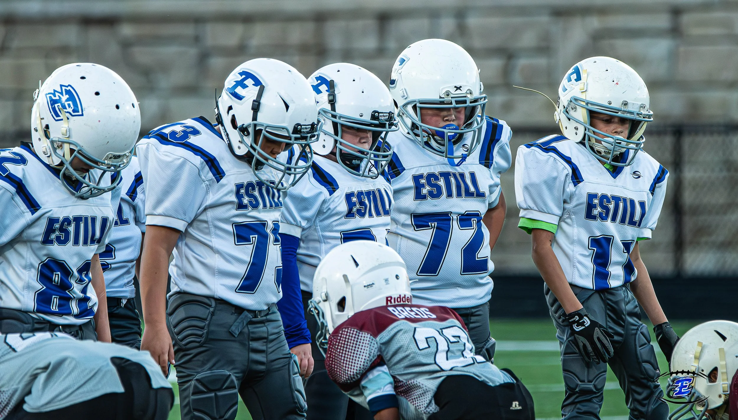 DSC_1029-Enhanced-NR.jpg