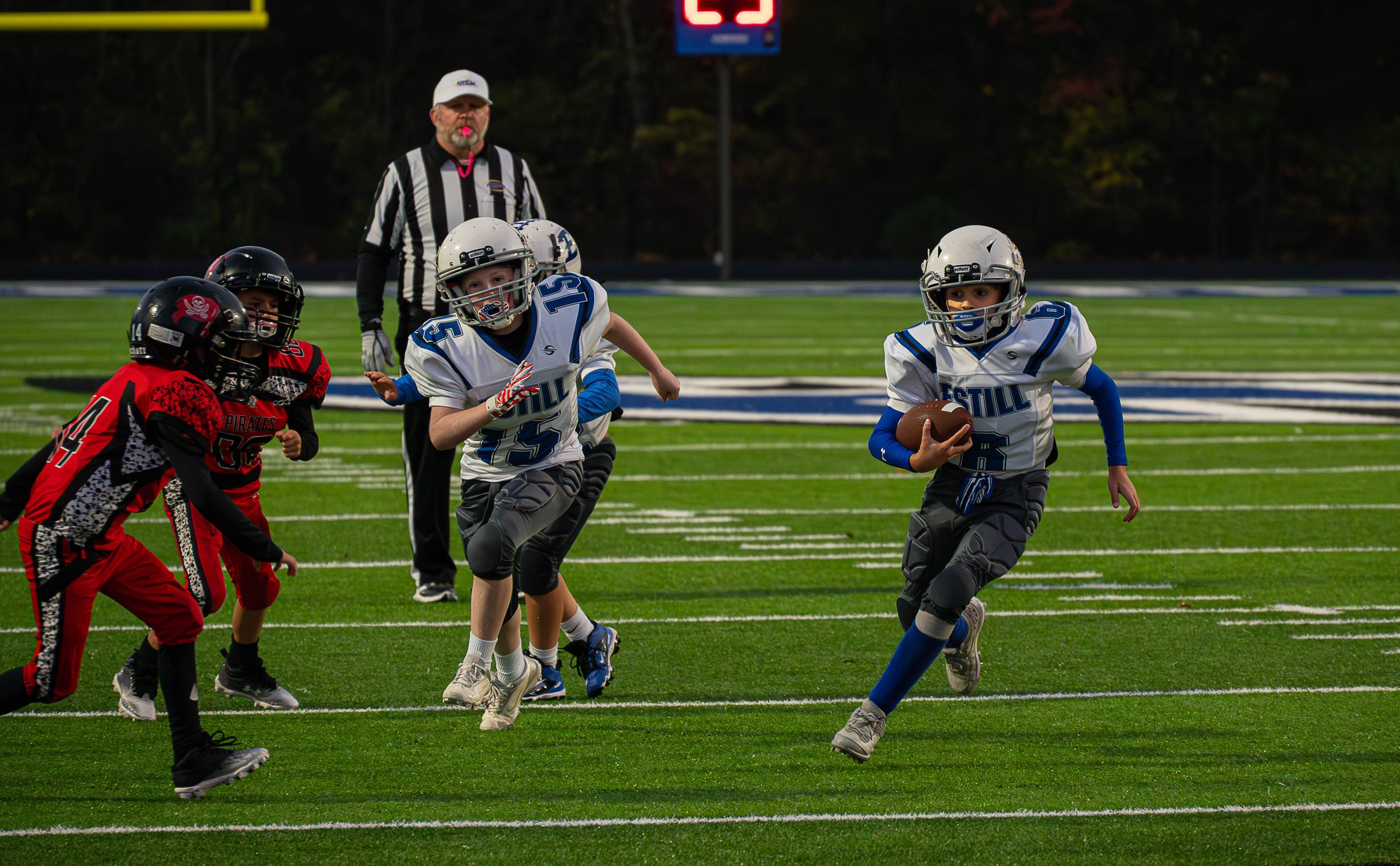 DSC_2893-Enhanced-NR.jpg