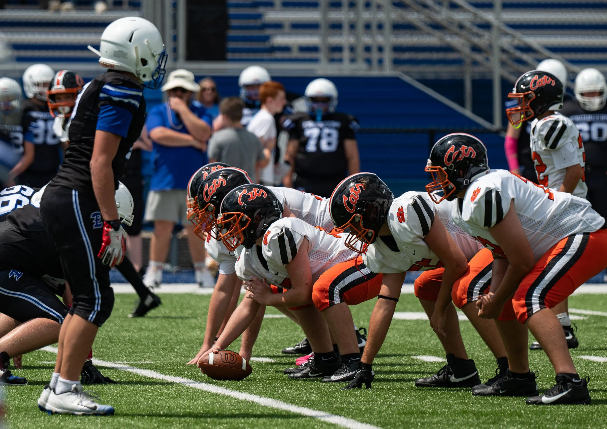 DSC_7834.jpg