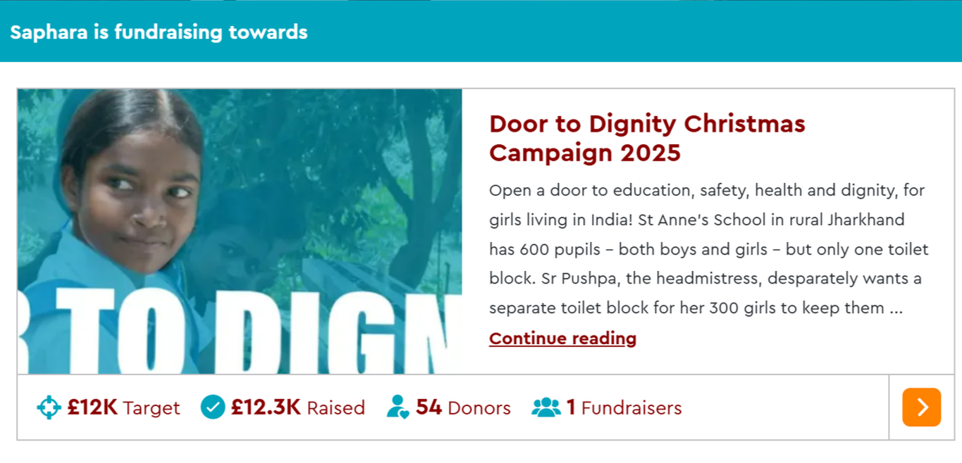 Toilets built in rural India to keep girls in school. Saphara Door to Dignity campaign strategy