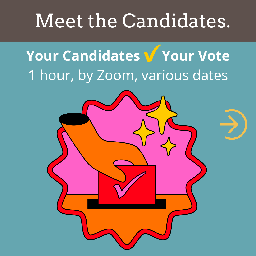 Meet the Candidates