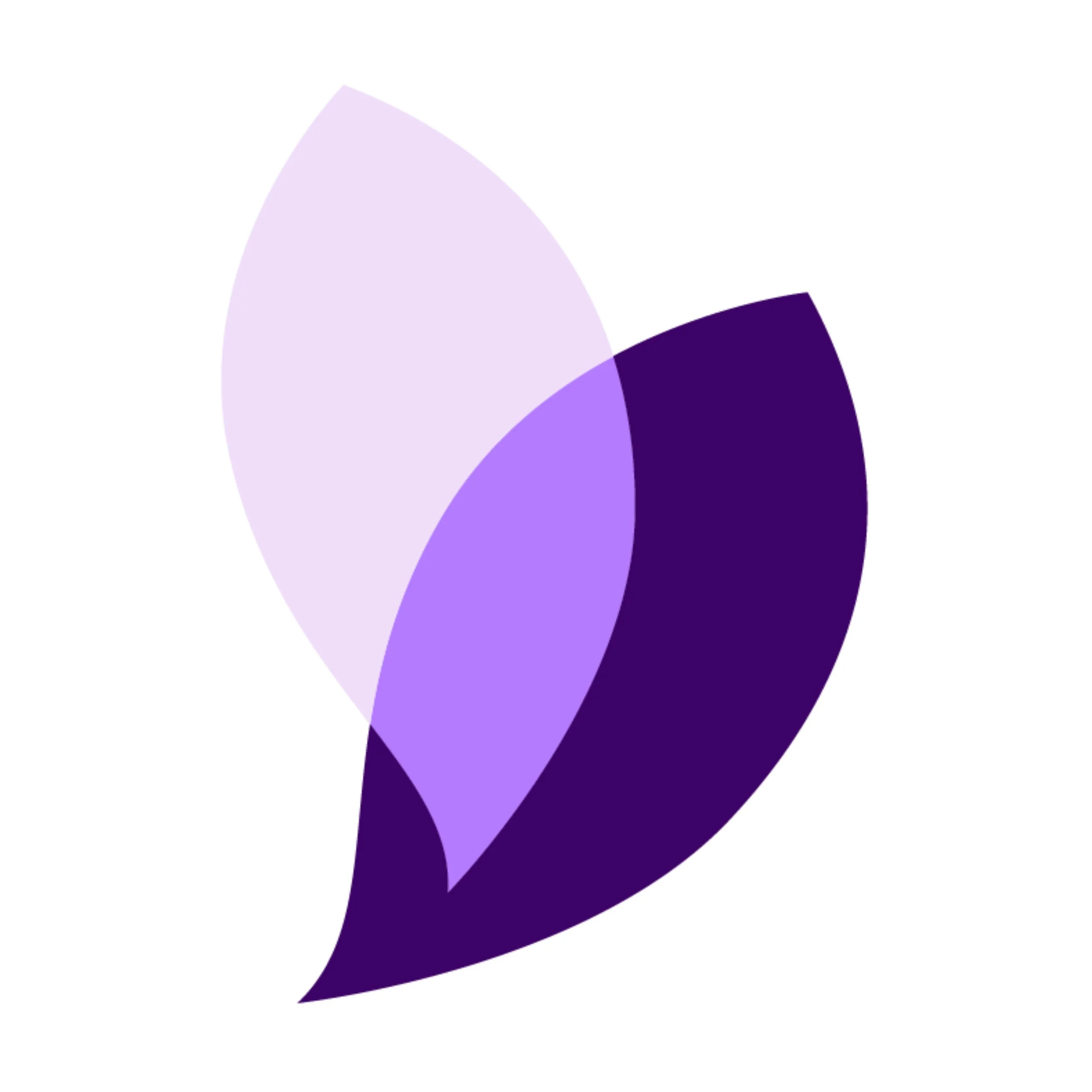 Two leaves overlapping, one purple, one brown