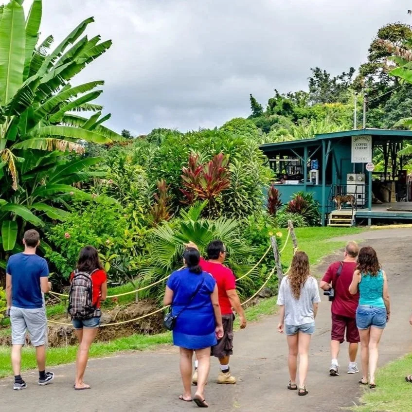 kona-coffee-tour-greenwell.jpg