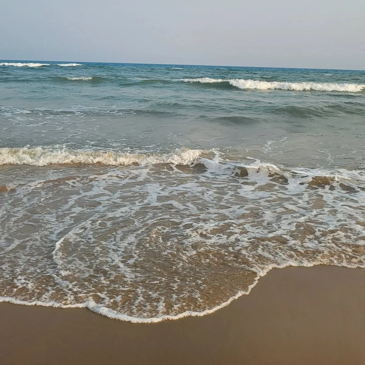 04A34742-E185-4505-B850-F0A1AD41752C.png