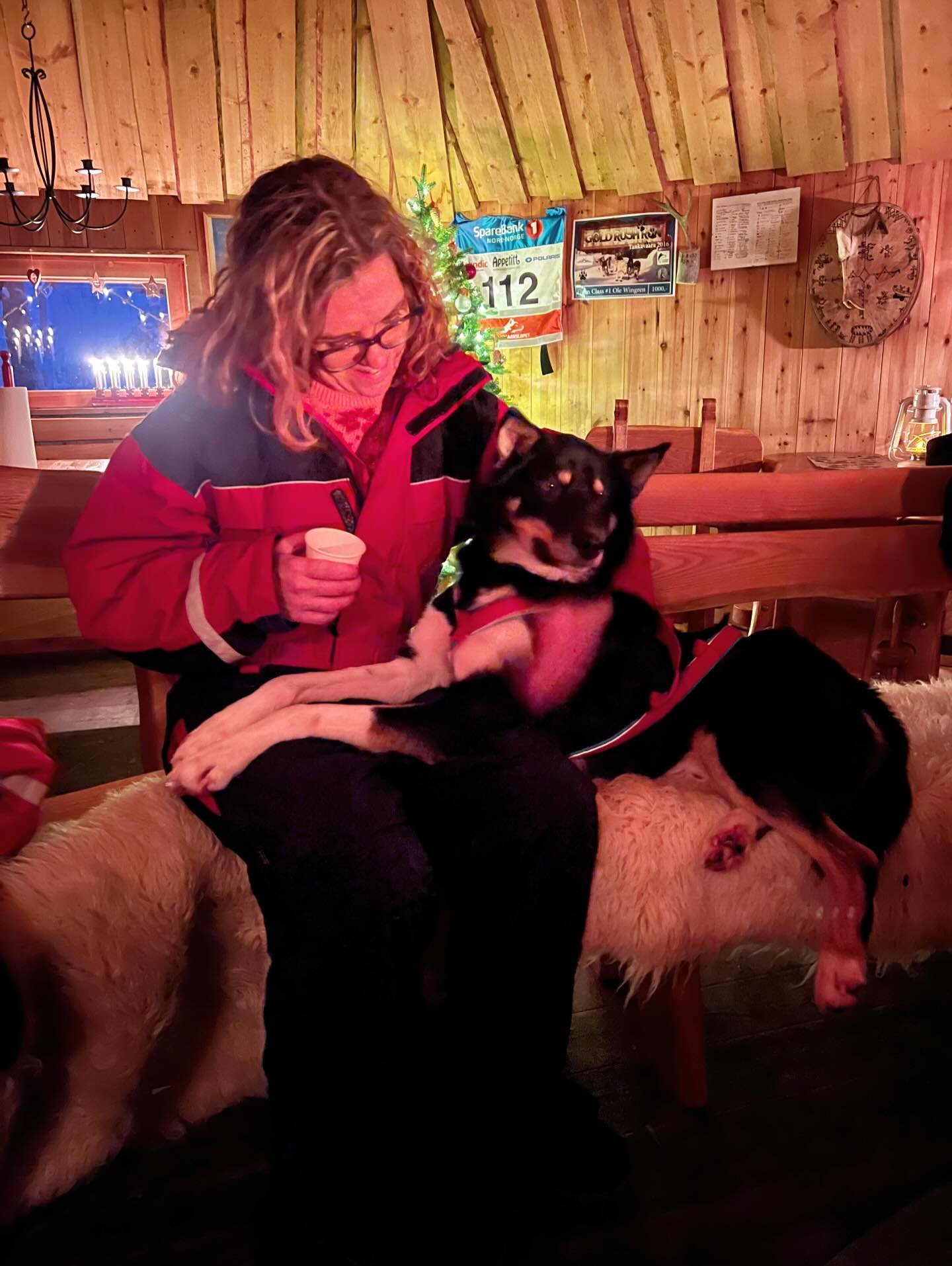 Cookie joined our guests in the hut for snacks and sausages and didn&rsquo;t take long at all to get comfortable! #husky #levi #lapland #finland #joy