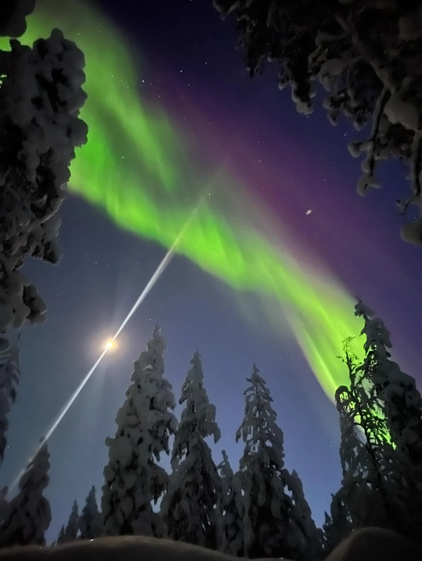 We went on a short night hike and holy moly we can&rsquo;t believe how lucky we are to share this world with you all 💕❤️ 

Thank you from the bottom of our hearts for supporting our dreams so we can live in such a beautiful place 😇☺️ 

#love #lapla