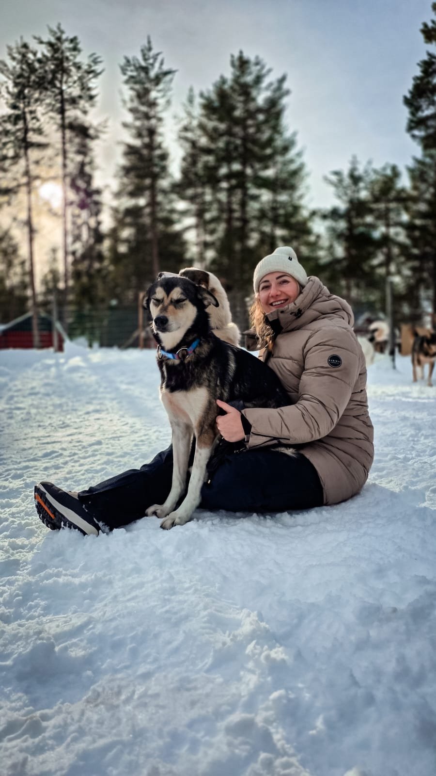 A woman in a beige winter jacket and white beanie sitting on snow, hugging a large black and white husky dog, with trees and other dogs in the background during winter.