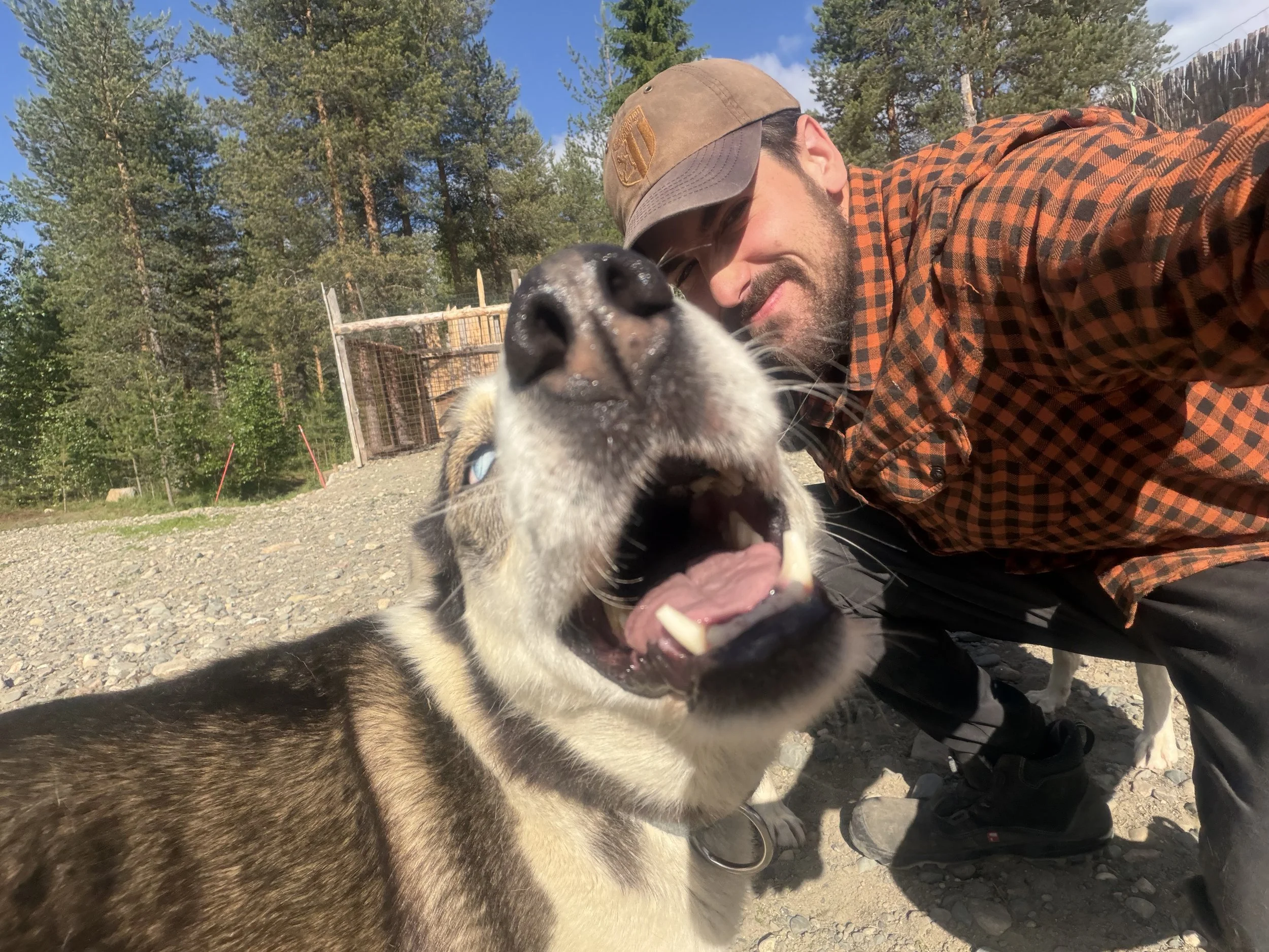 A man in a brown cap and plaid shirt with a beard and mustache kneels next to a happy, excited Siberian Husky with blue eyes and a black and white fur coat, outdoors with trees and a gravel ground in the background.