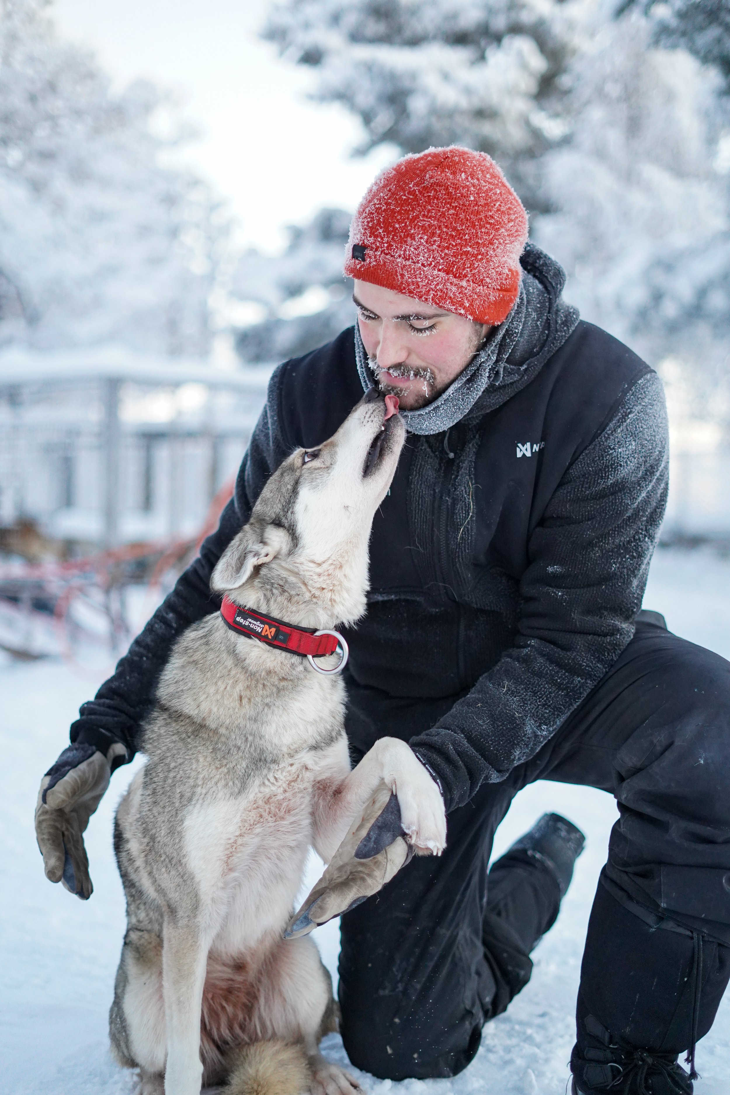 A person in winter clothing kneeling in snow, holding a Siberian Husky puppy, with icy trees and a wooden fence in the background.