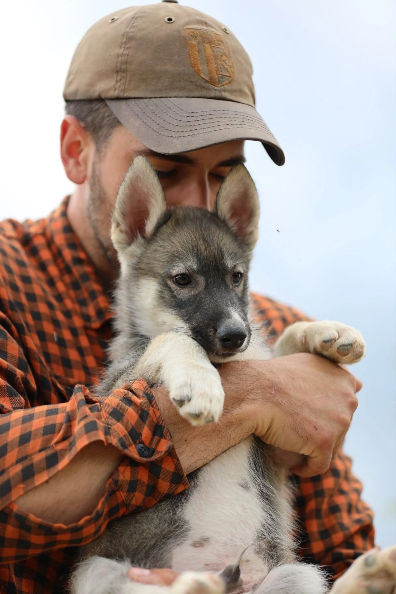 A man wearing a tan cap and plaid shirt holds a husky puppy with gray and white fur. The man has his eyes closed and the puppy is relaxed in his arms.