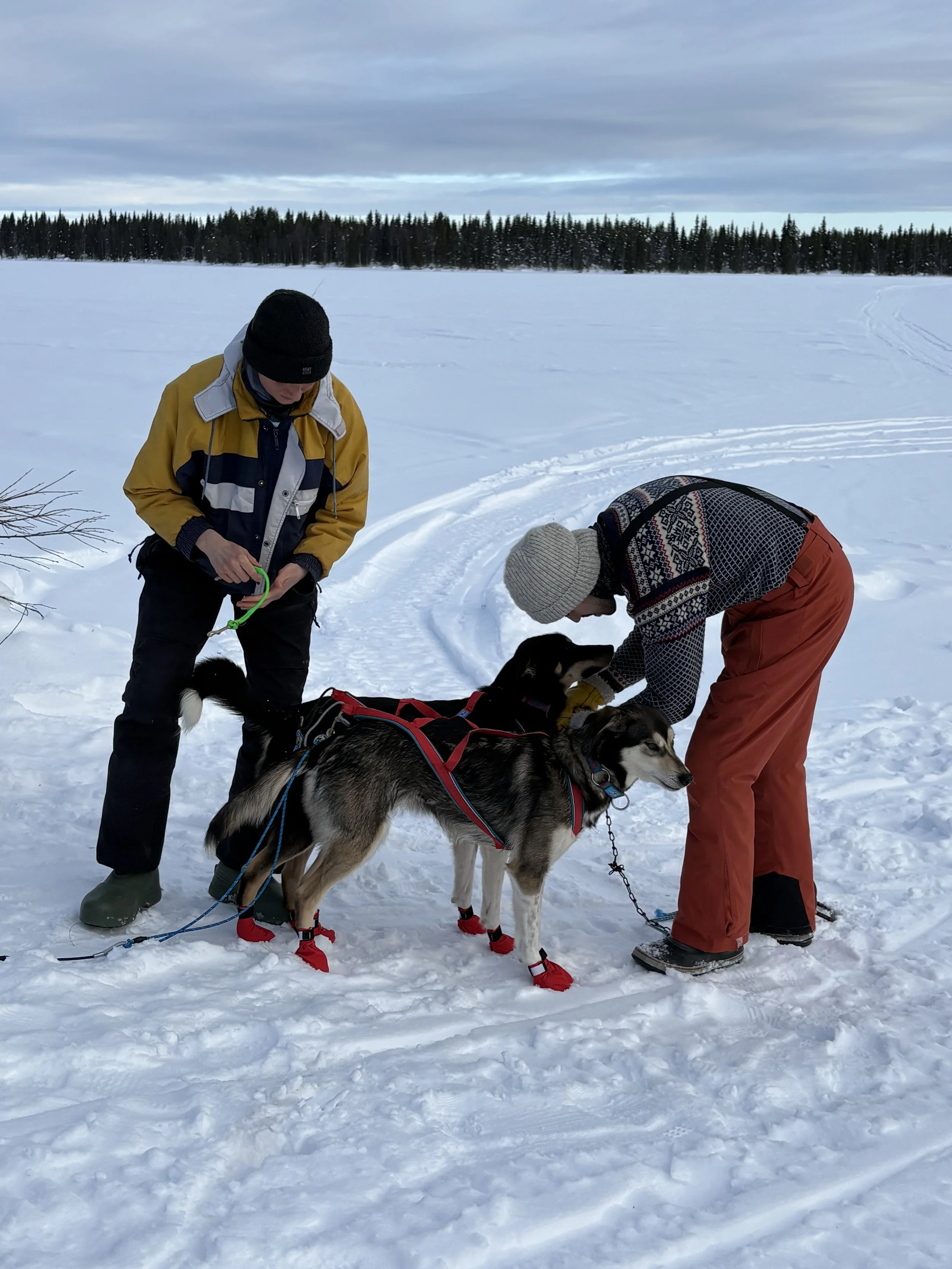 Two people dressed in winter clothing with three sled dogs on a snowy landscape during daytime.