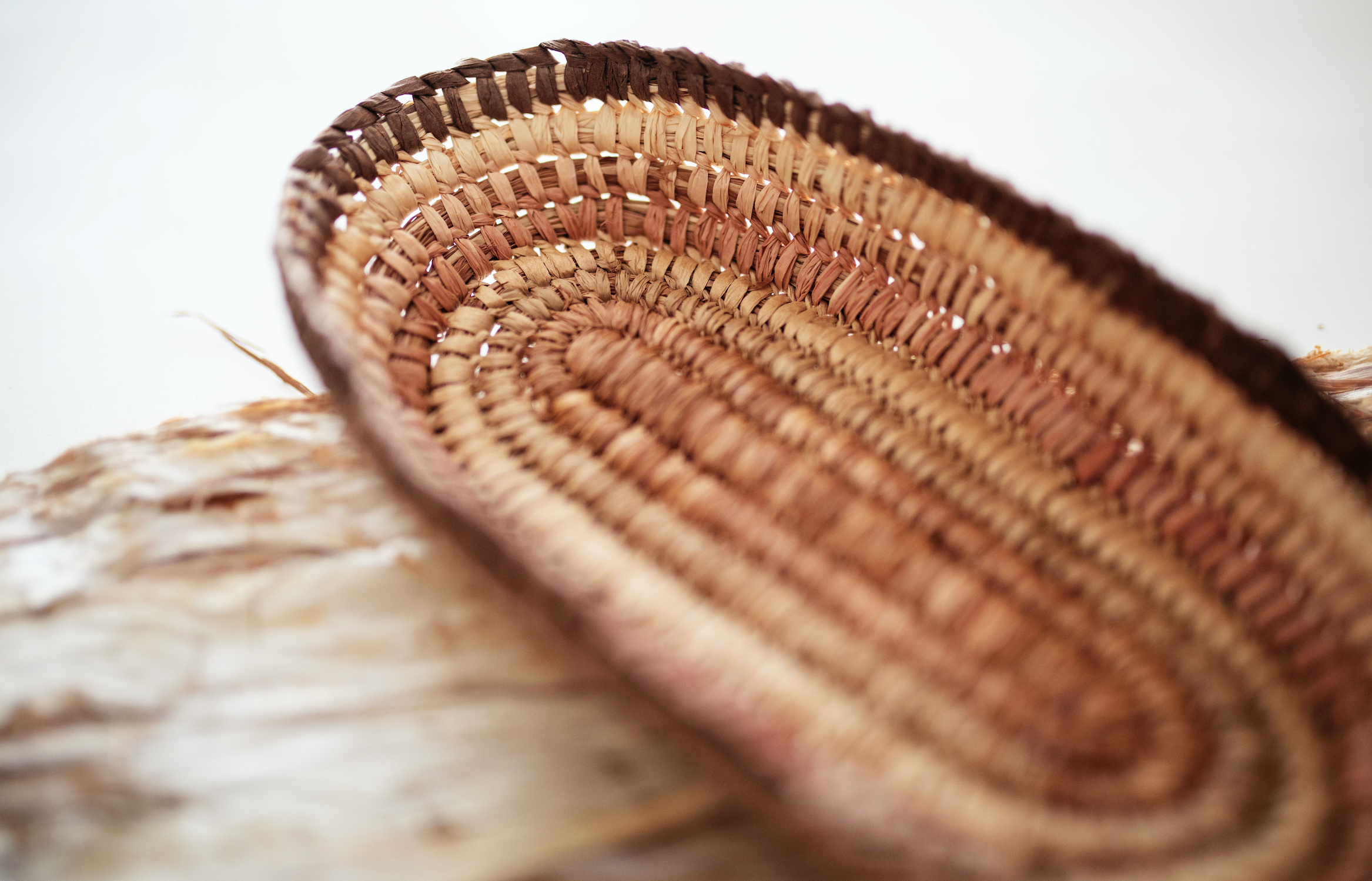 REMATRIATE Jessika Spencer