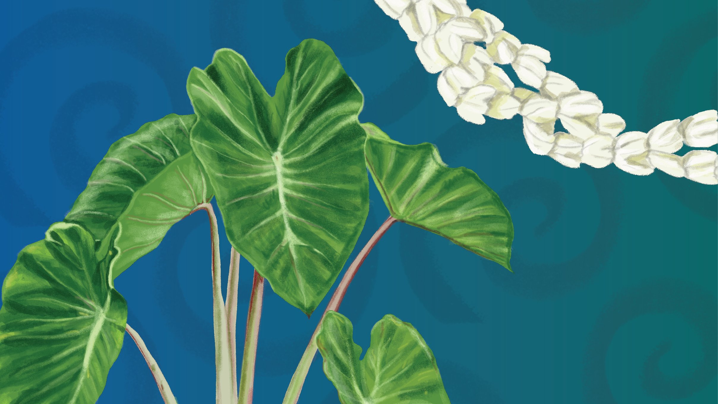 Stefan &amp; ʻOhana