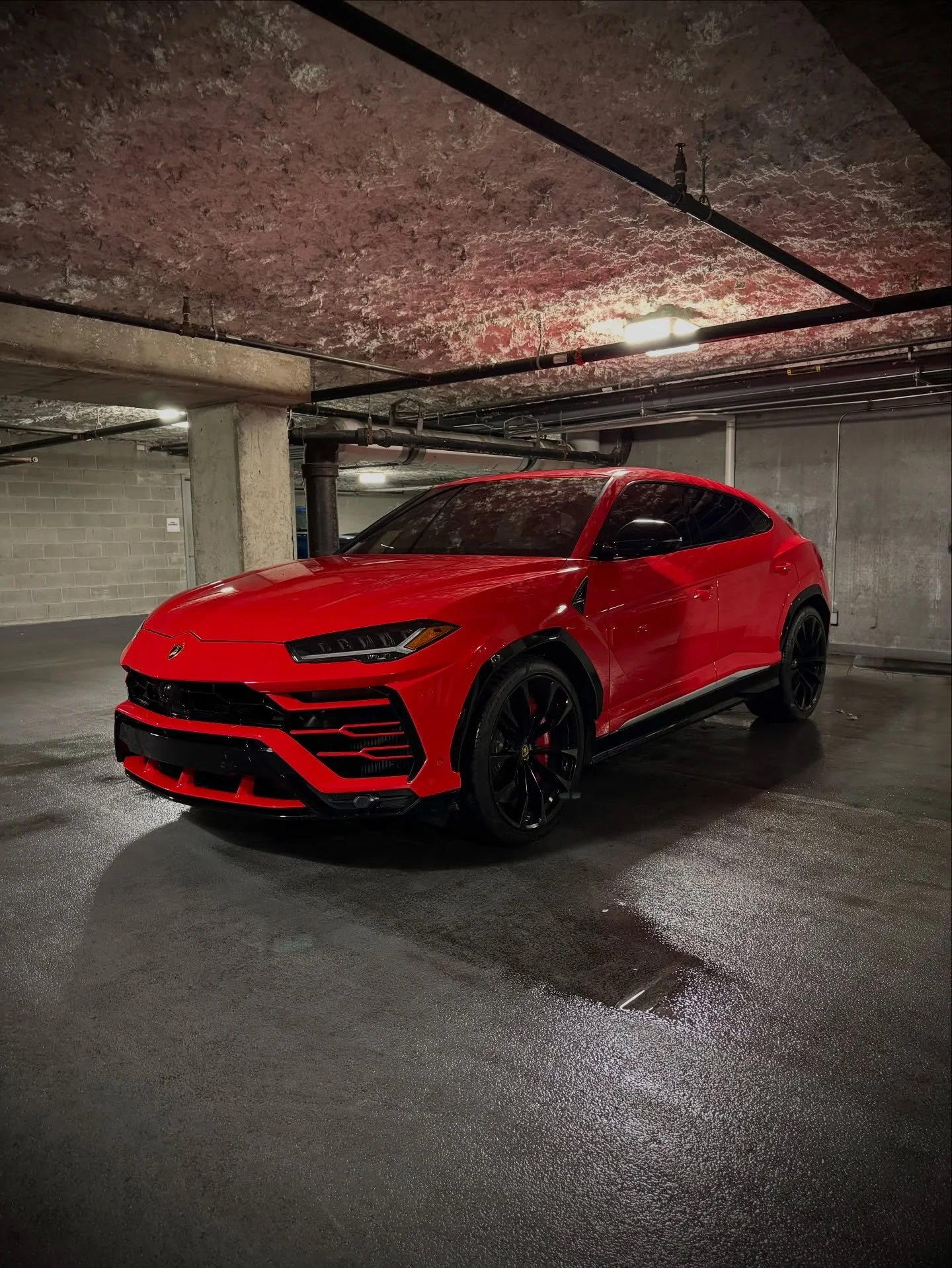 RED URUS NOW AVAILABLE FOR RENTALS‼️

This Lamborghini is a straight up showstopper. Striking red paint and accents, a roaring twin turbo V8, massaging seats, and enough room to fit 5 people 

DM/call/text to book📲 and hit us up for all your luxury 