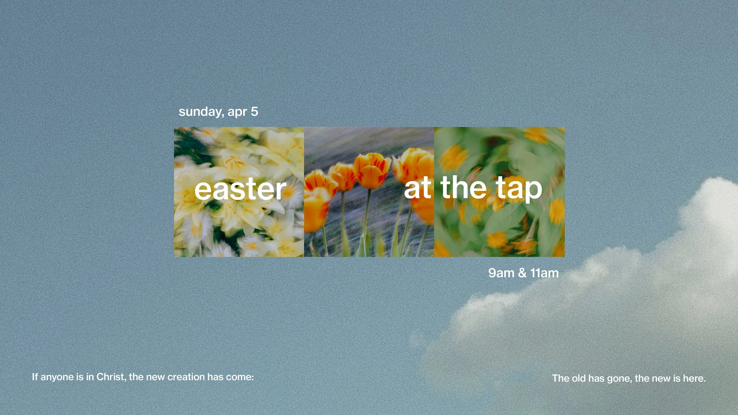 easter at the tap screen.jpg