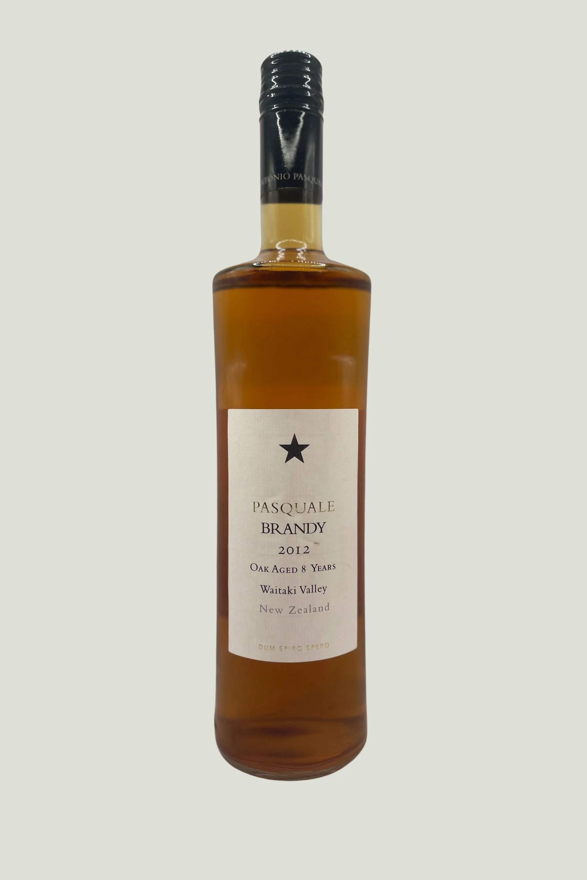 Pasquale Brandy (2000 x 3000 px).jpg