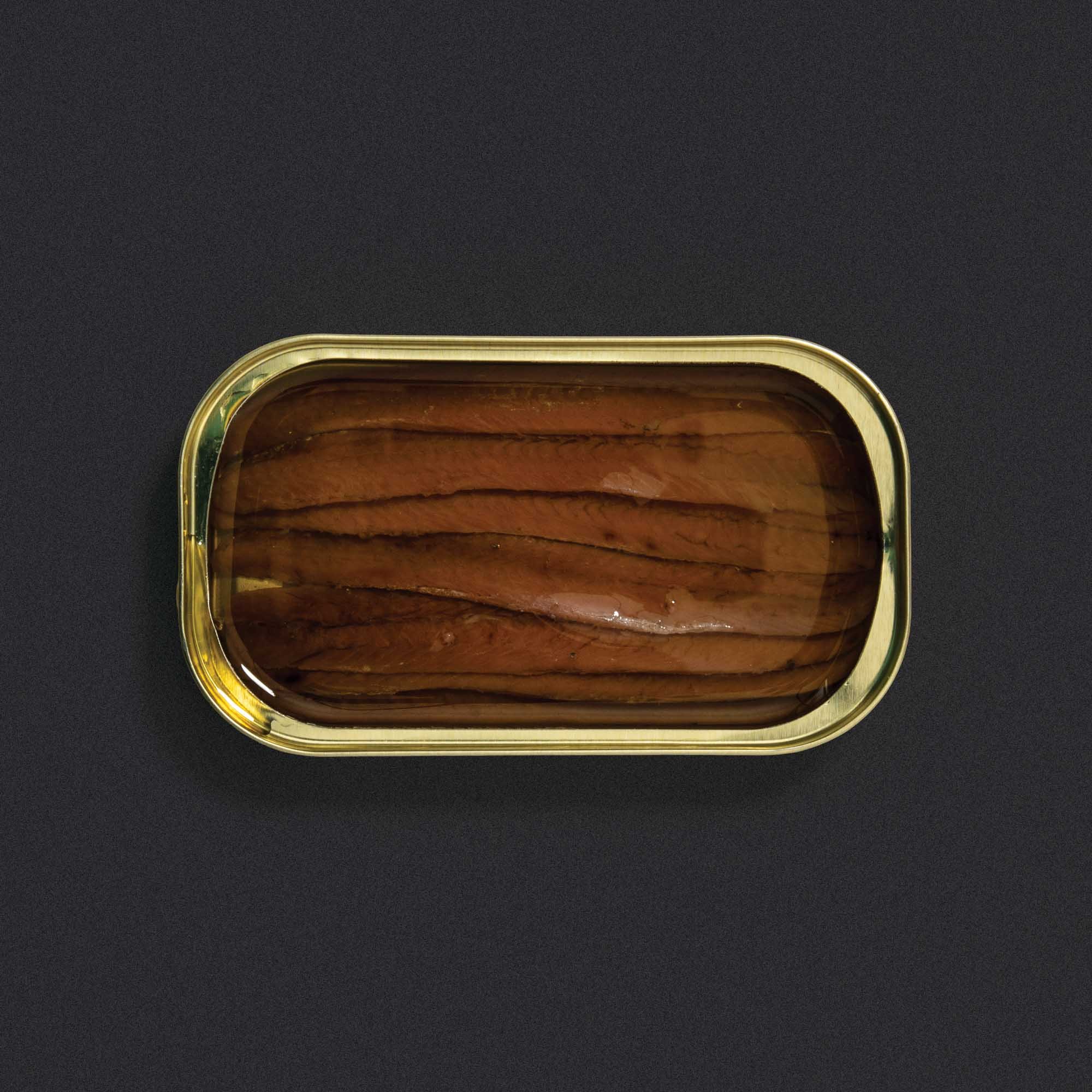 Don Bocarte-102.jpg