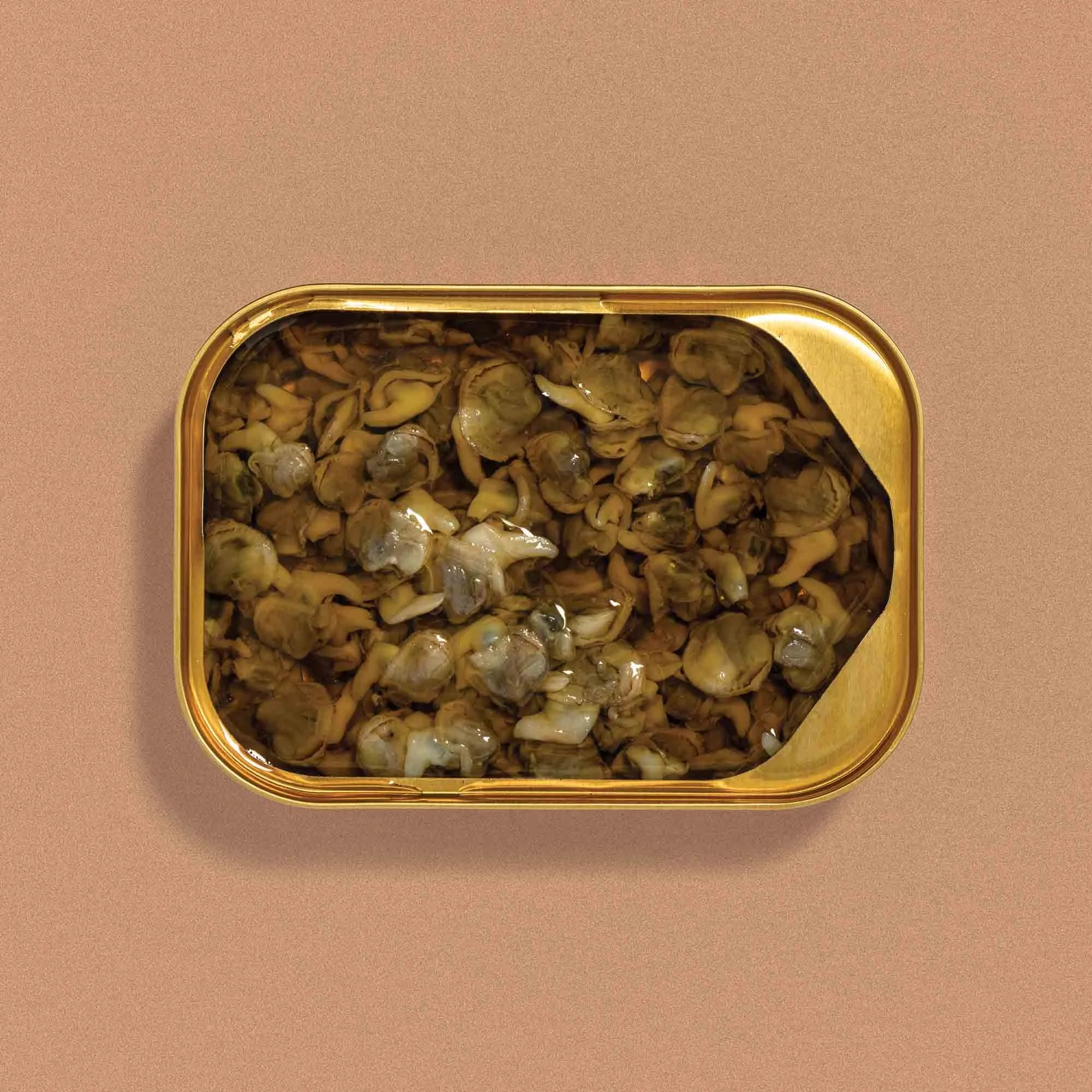 Fangst - Limfjord Cockles in their open tin.jpg