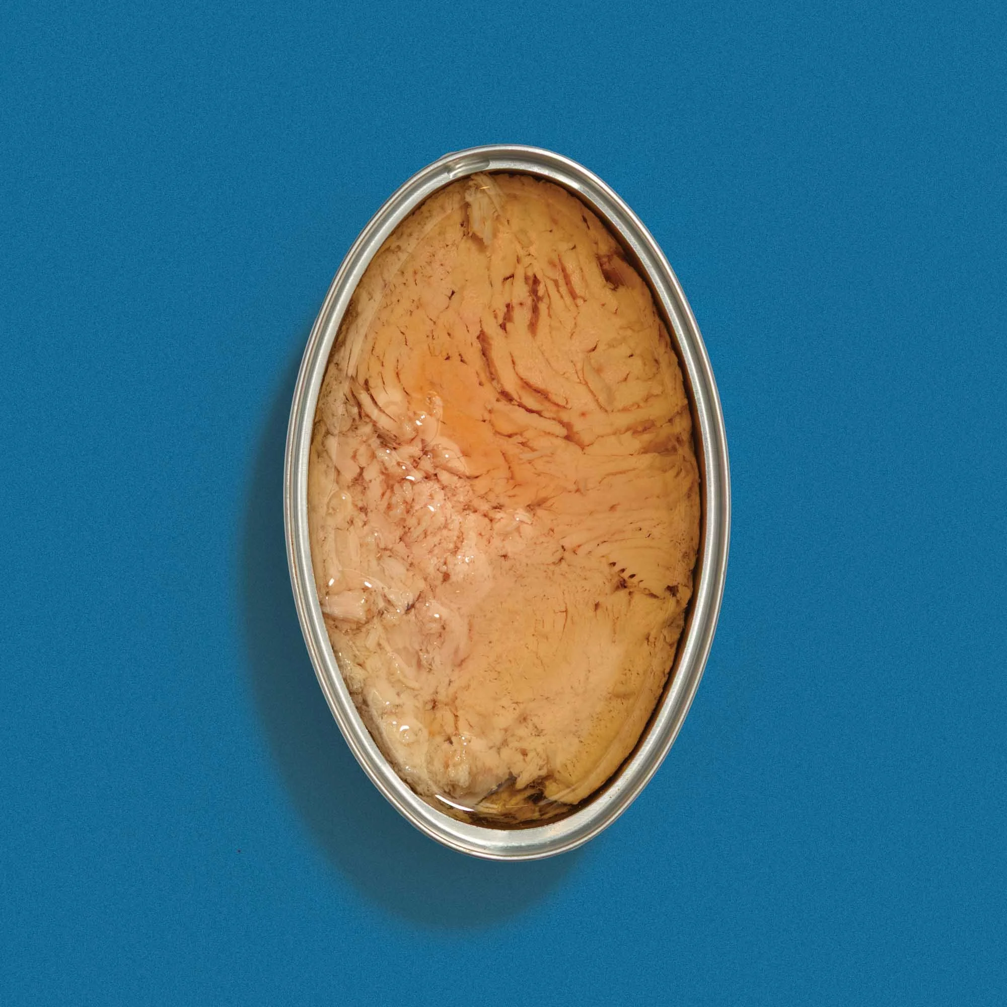 La Brujula - Northern Bonito open tin.jpg