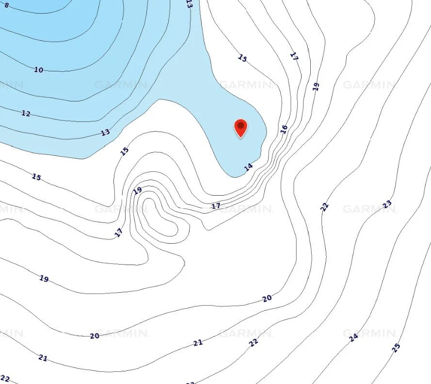 Screenshot 2025-03-28 113156.jpeg