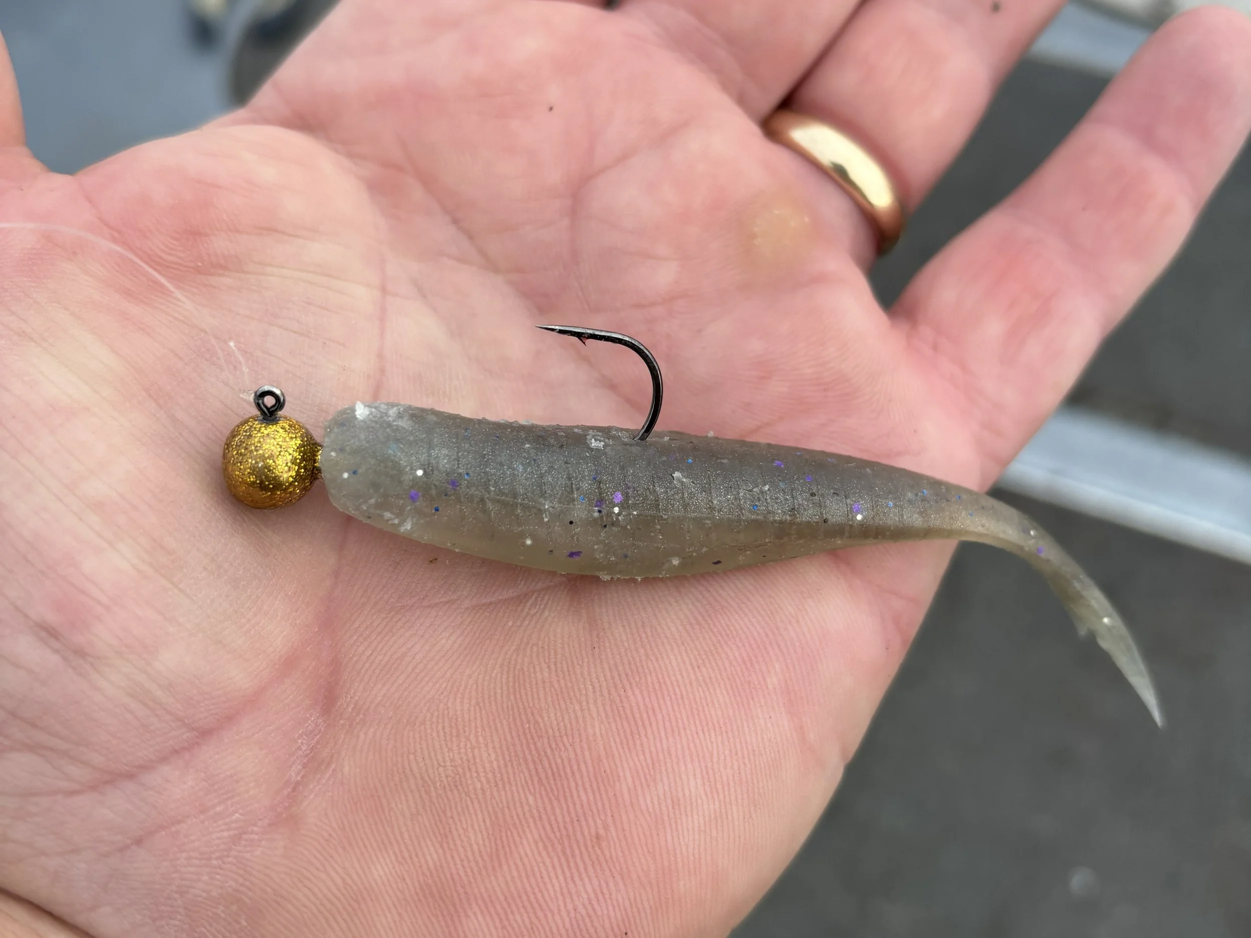 Chub 110 Guide Mix.jpg