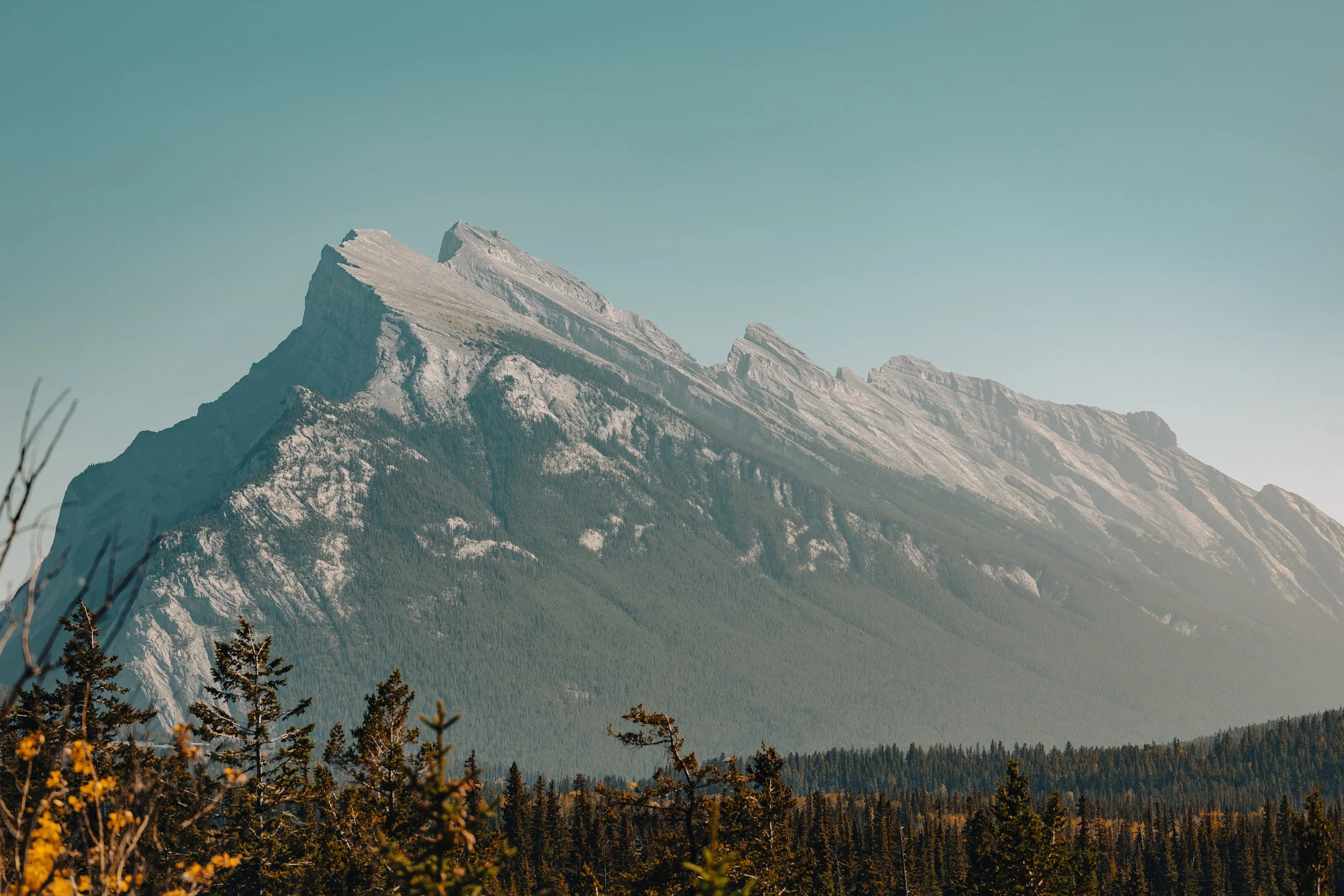 OG0A6106-Edit.jpg