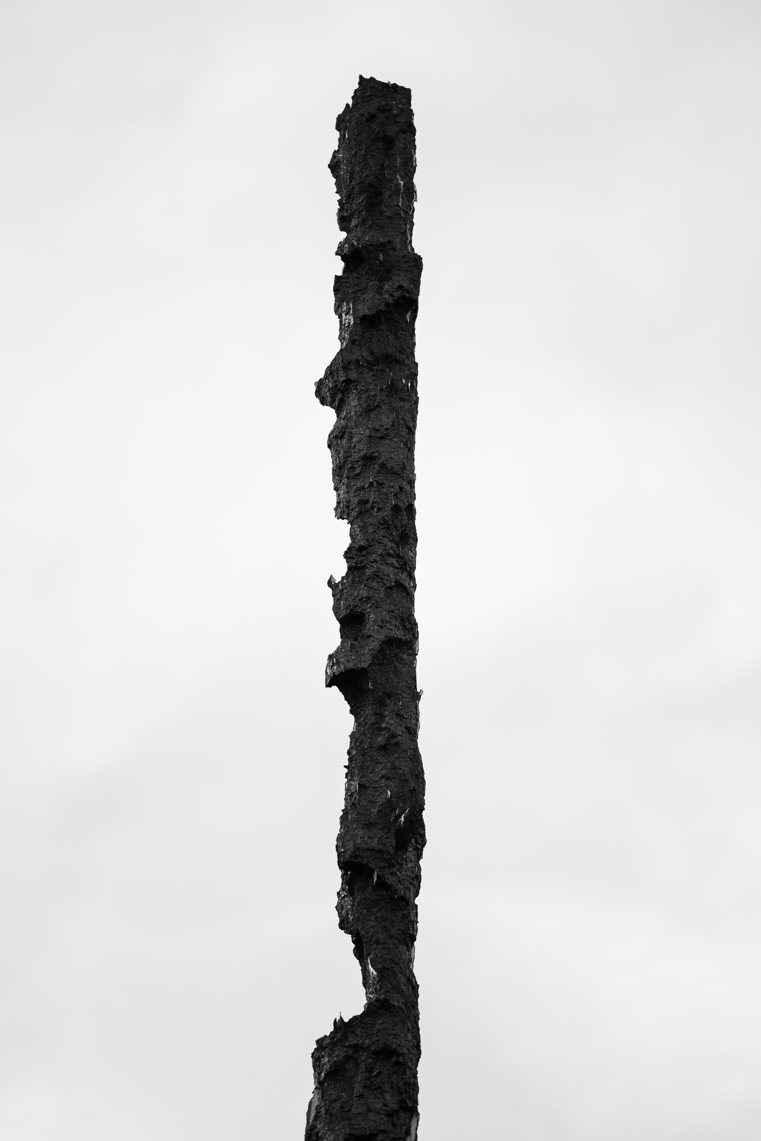 OG0A7496.jpg