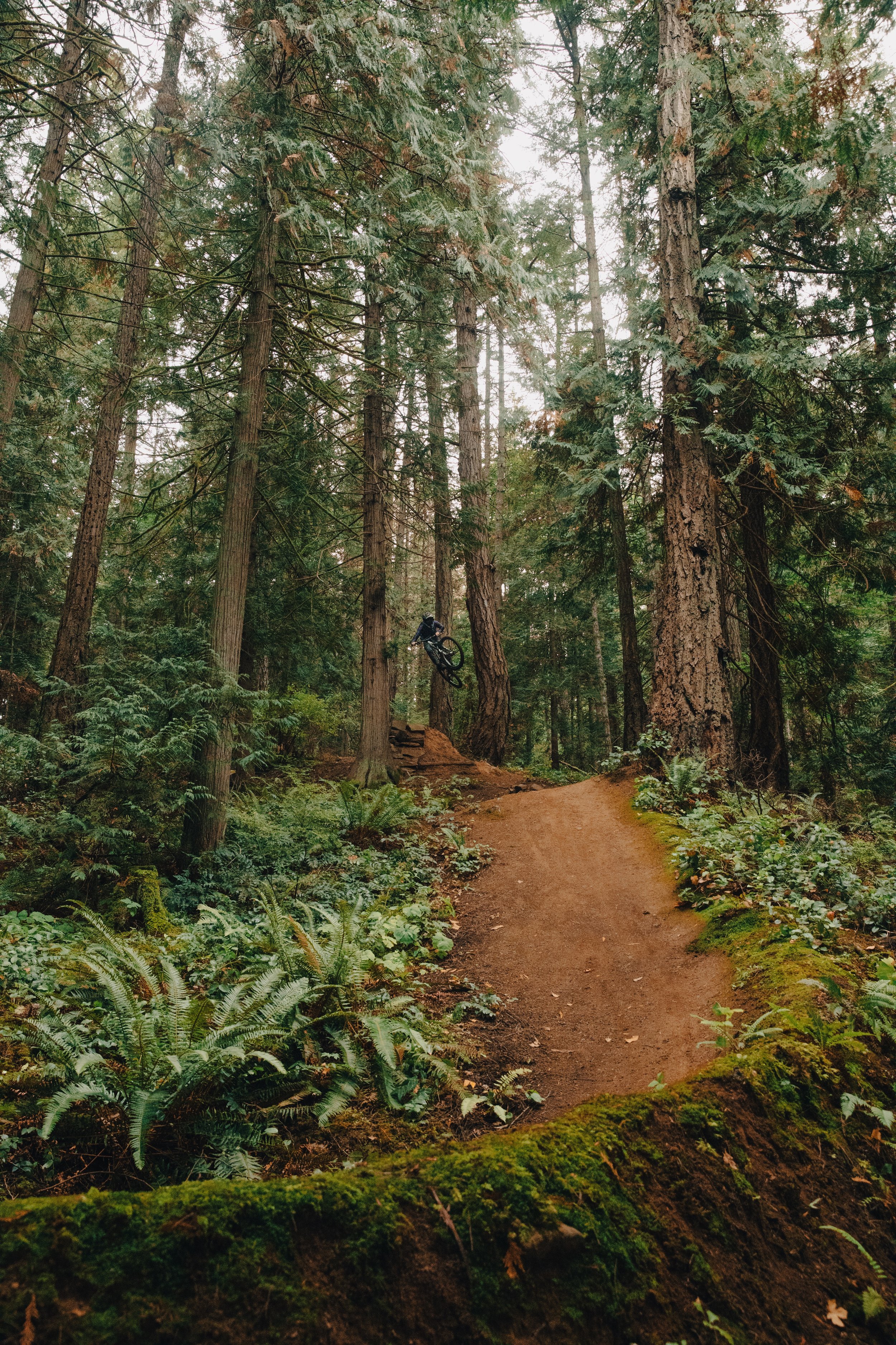 mtb photography, sea to sky photographer, kamloops, british columbia, photographer british columbia, photographer, action sports photographer, professional photographer, mountain bike photographer, squamish photographer, canadian photographer, advent