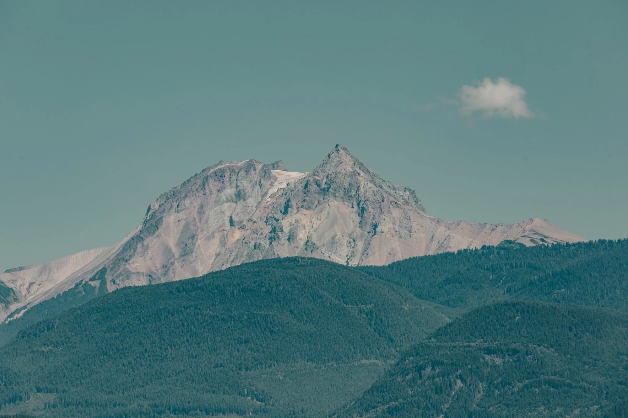 3A0A2646.jpg