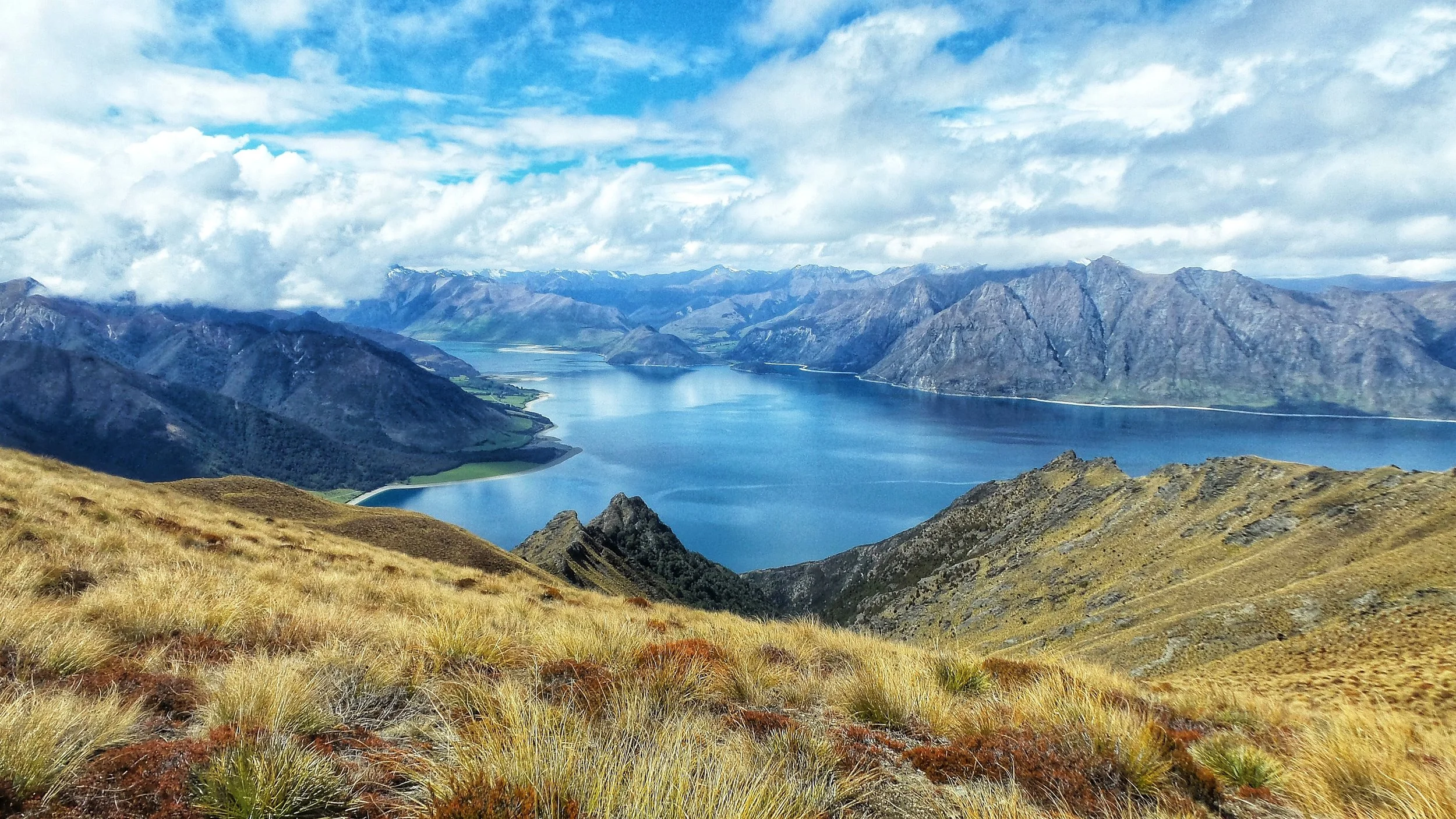 New Zealand's Wonders