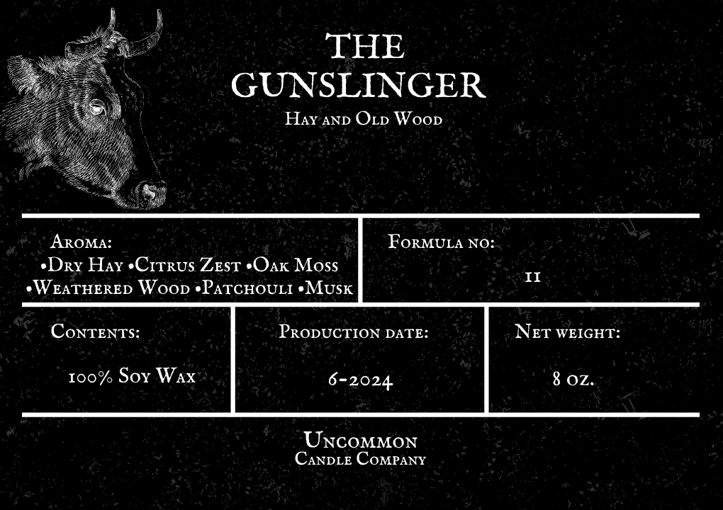 The Gunslinger