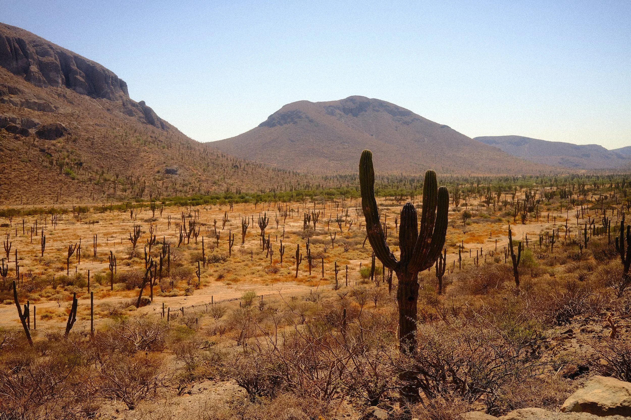 CHRIS-MONTIEL_DESIERTO2.jpg