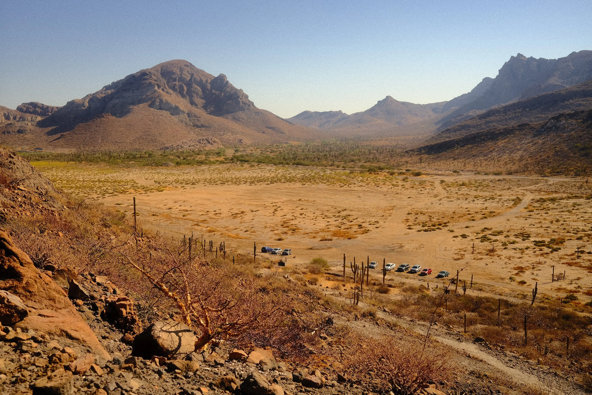 CHRIS-MONTIEL_DESIERTO1.jpg