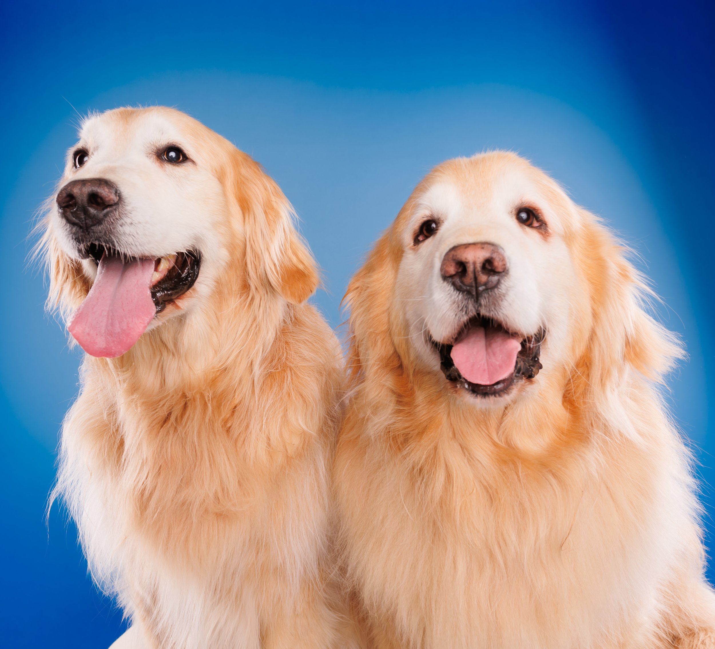 Hudson and Brewster Rachel Manwill Edits-3684.jpg