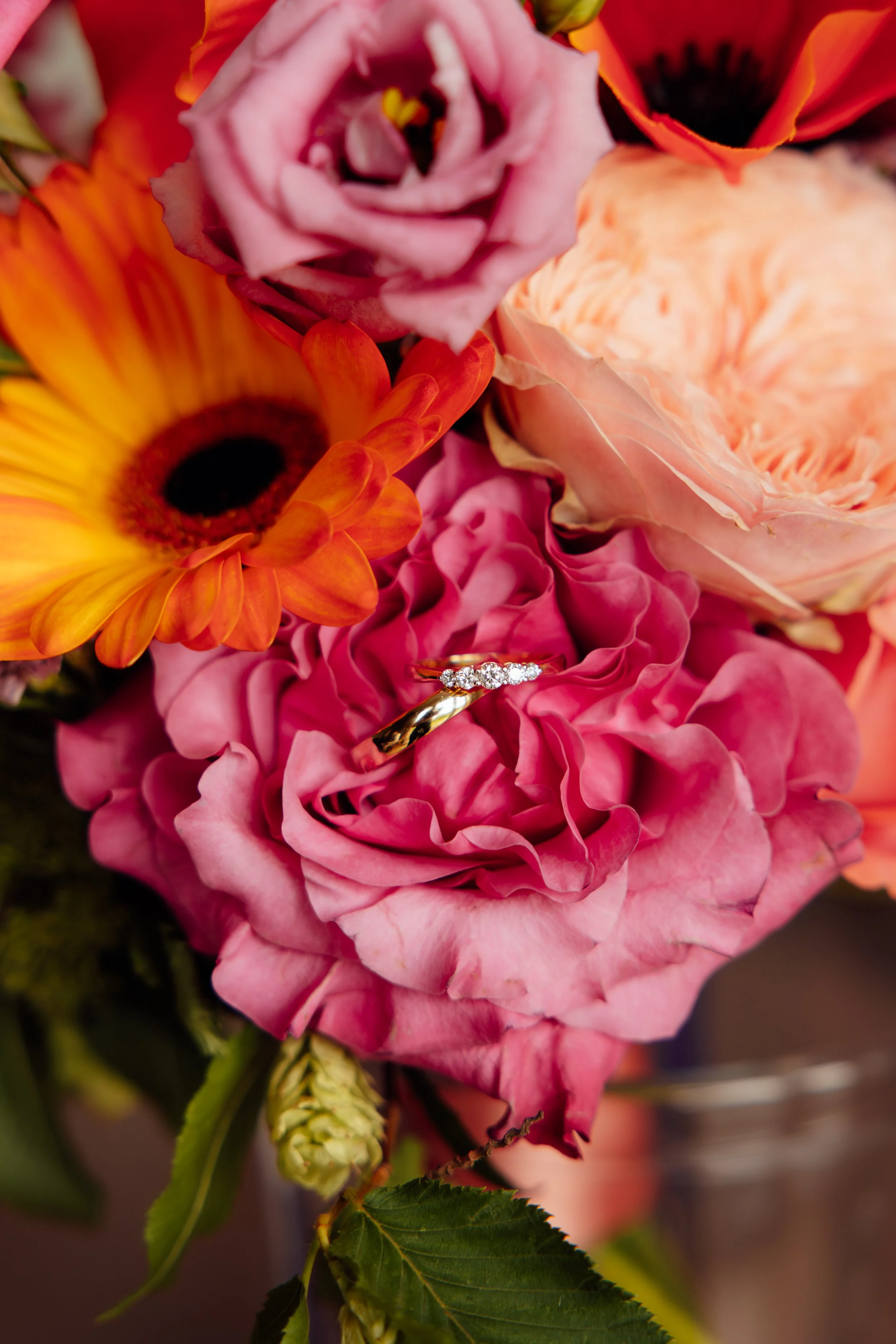website_06 juni 2026_142155_023_by Blooming Fotografie.jpg