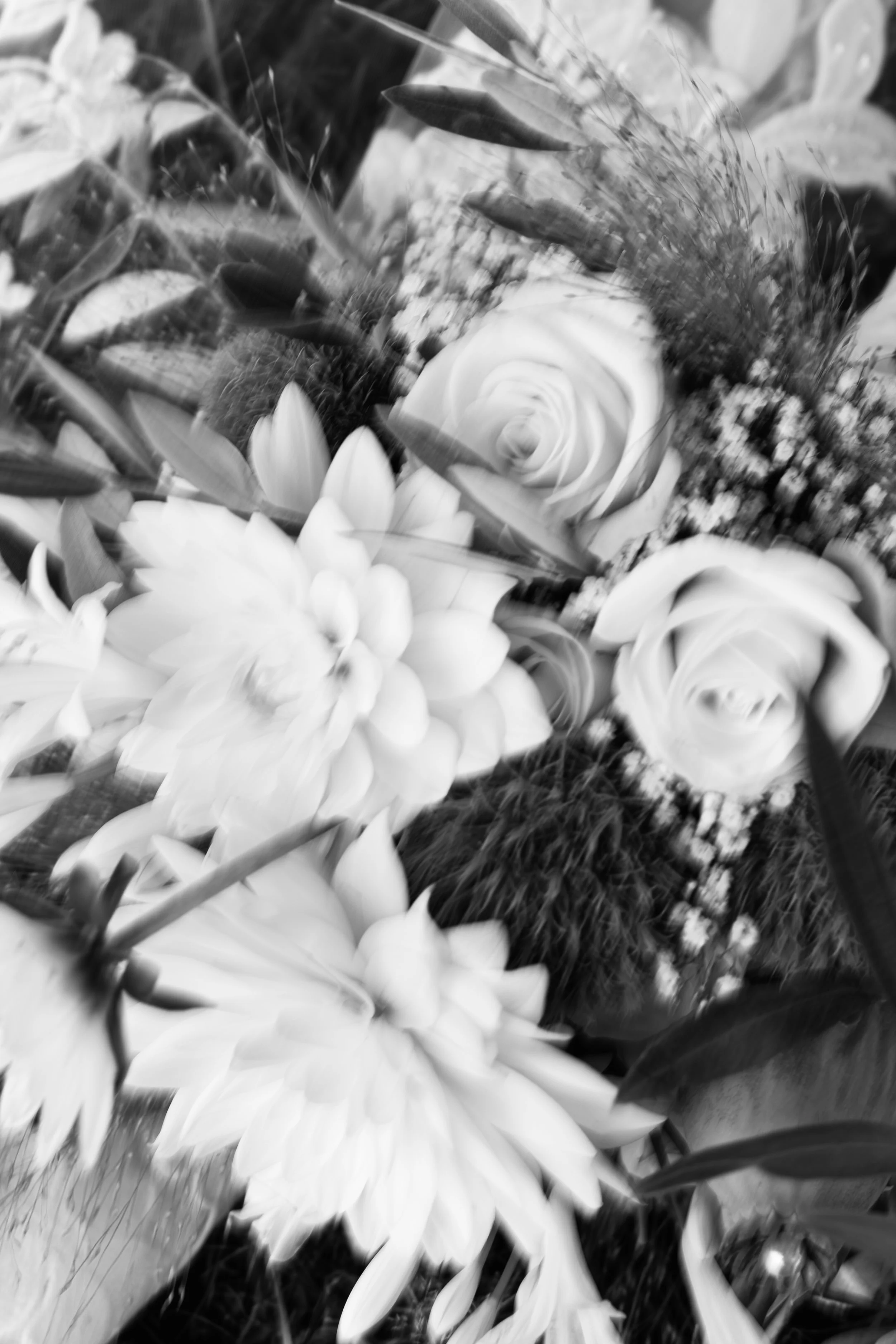 website_18 juli 2026_120724_016_by Blooming Fotografie.jpg