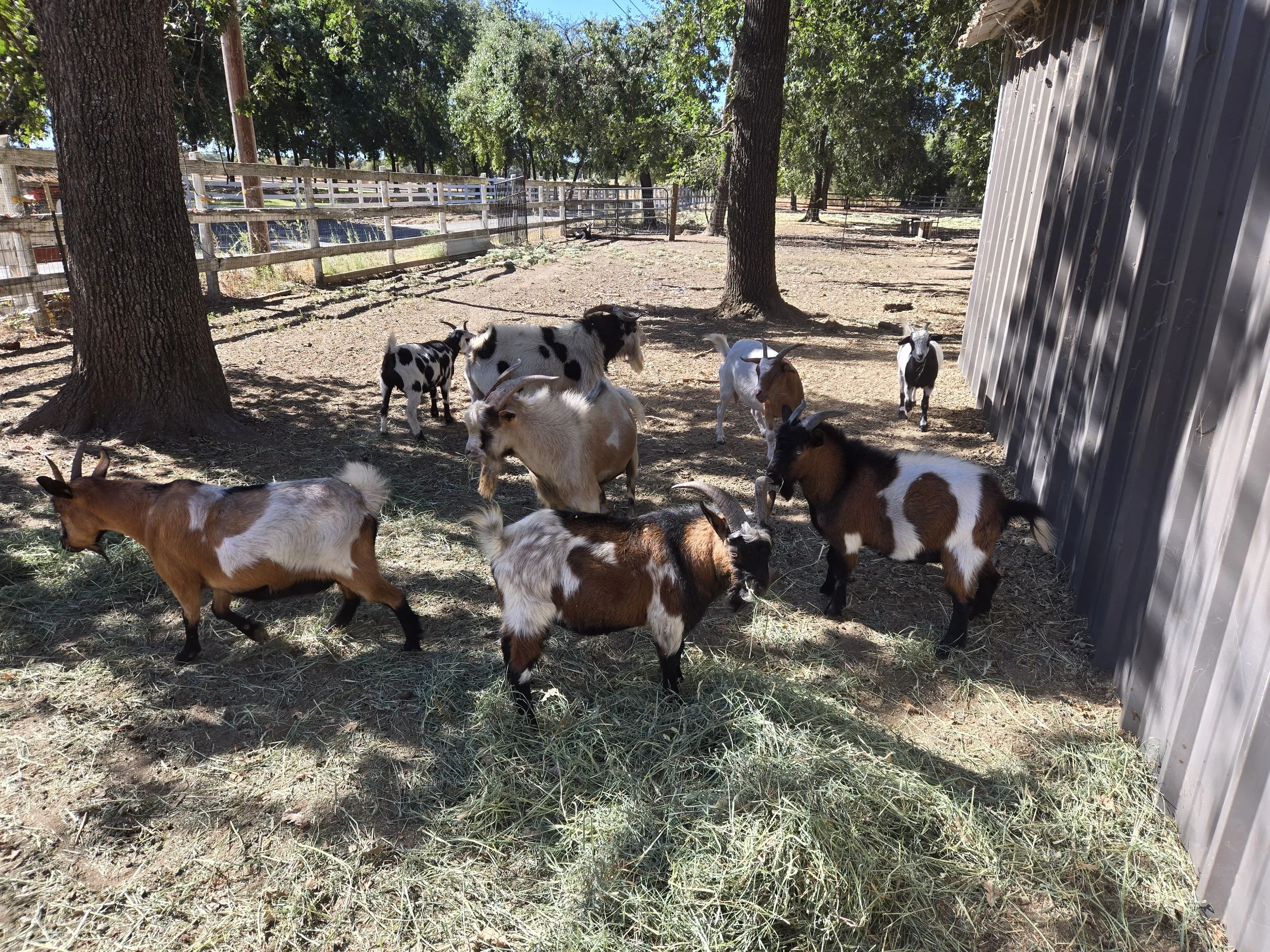 La Bella Vito Farm Tours