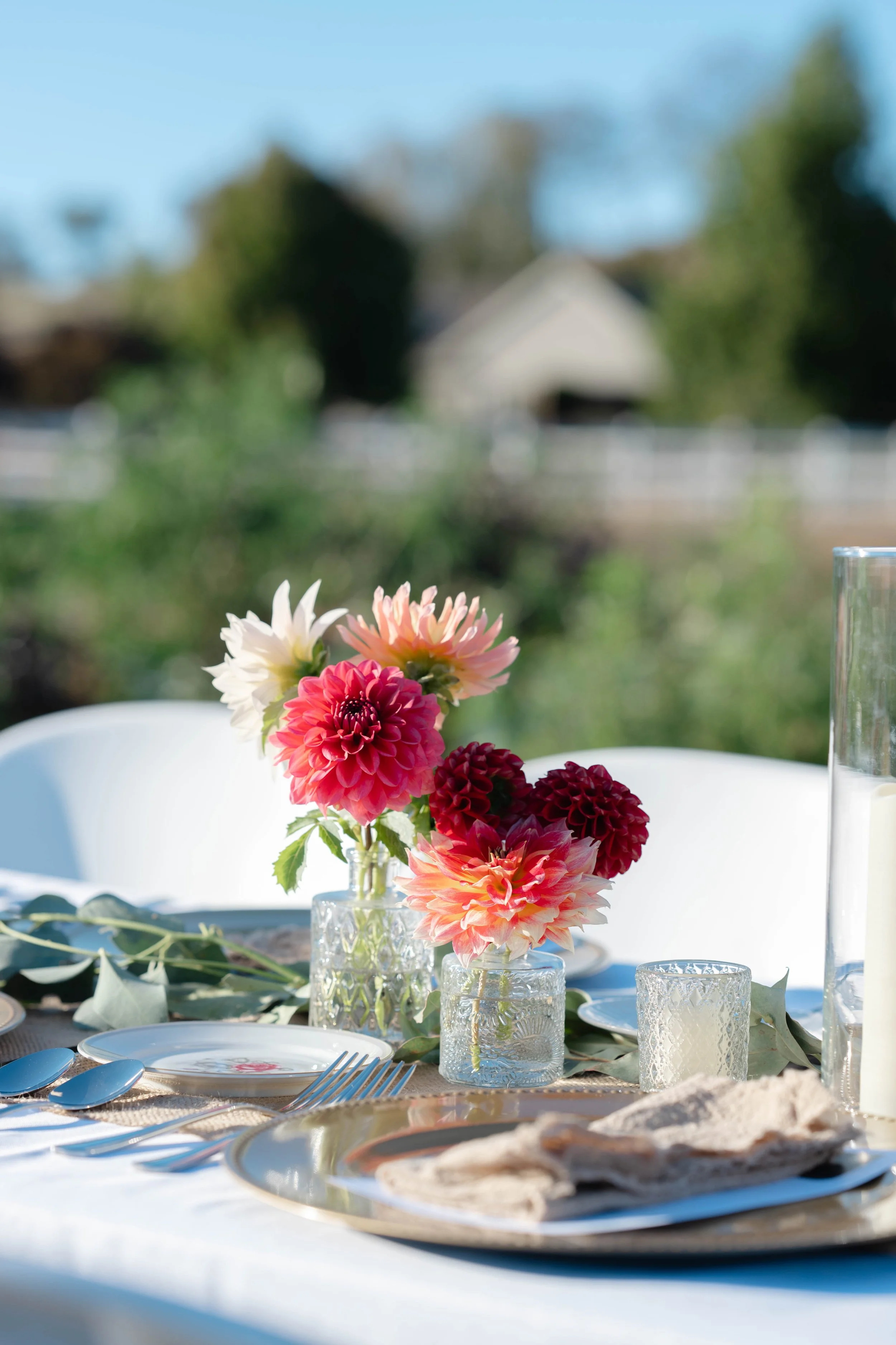 Dinner in the Dahlias: A Seasonal Evening on the Farm