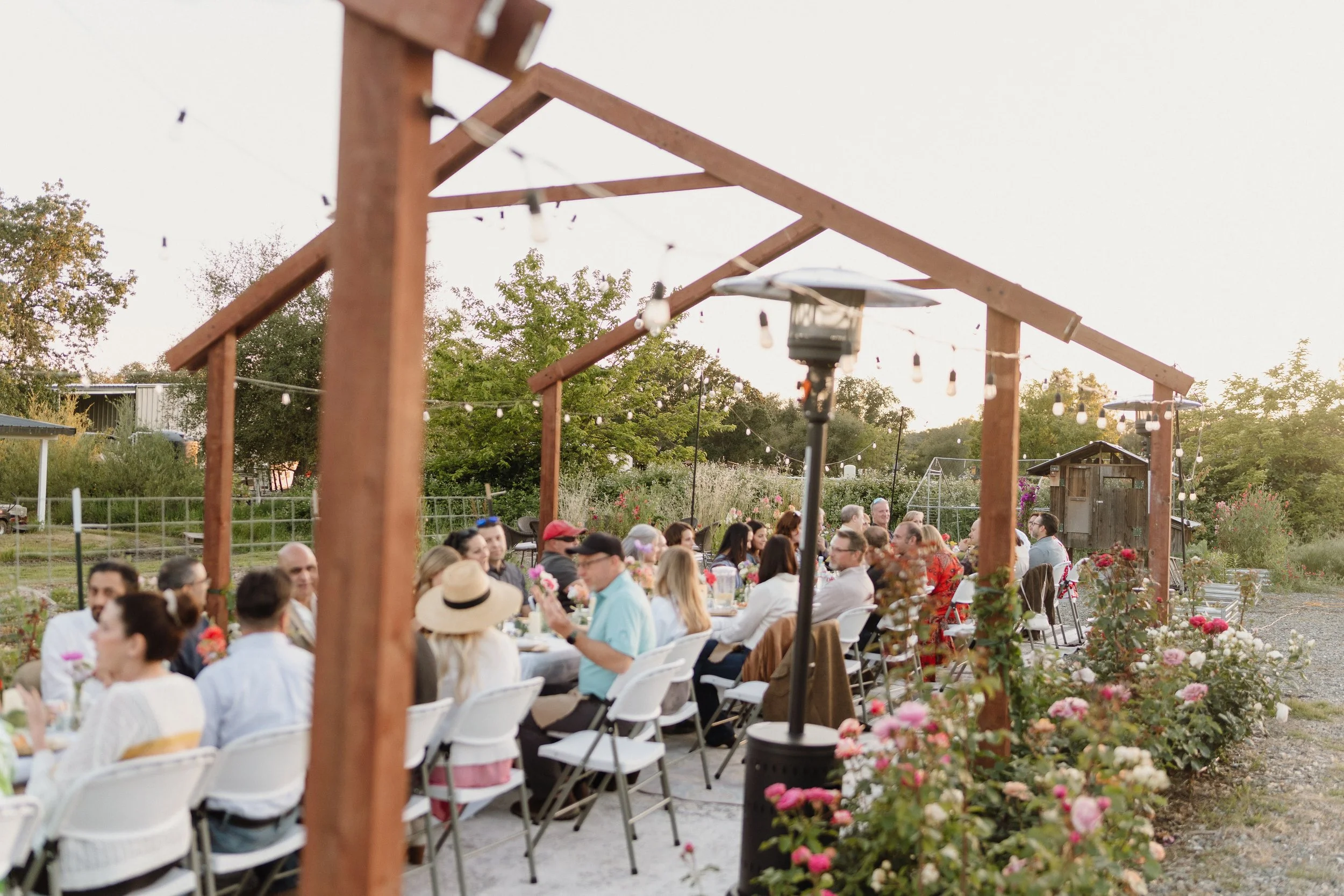 people having luxury dinner surrounded with dahlias