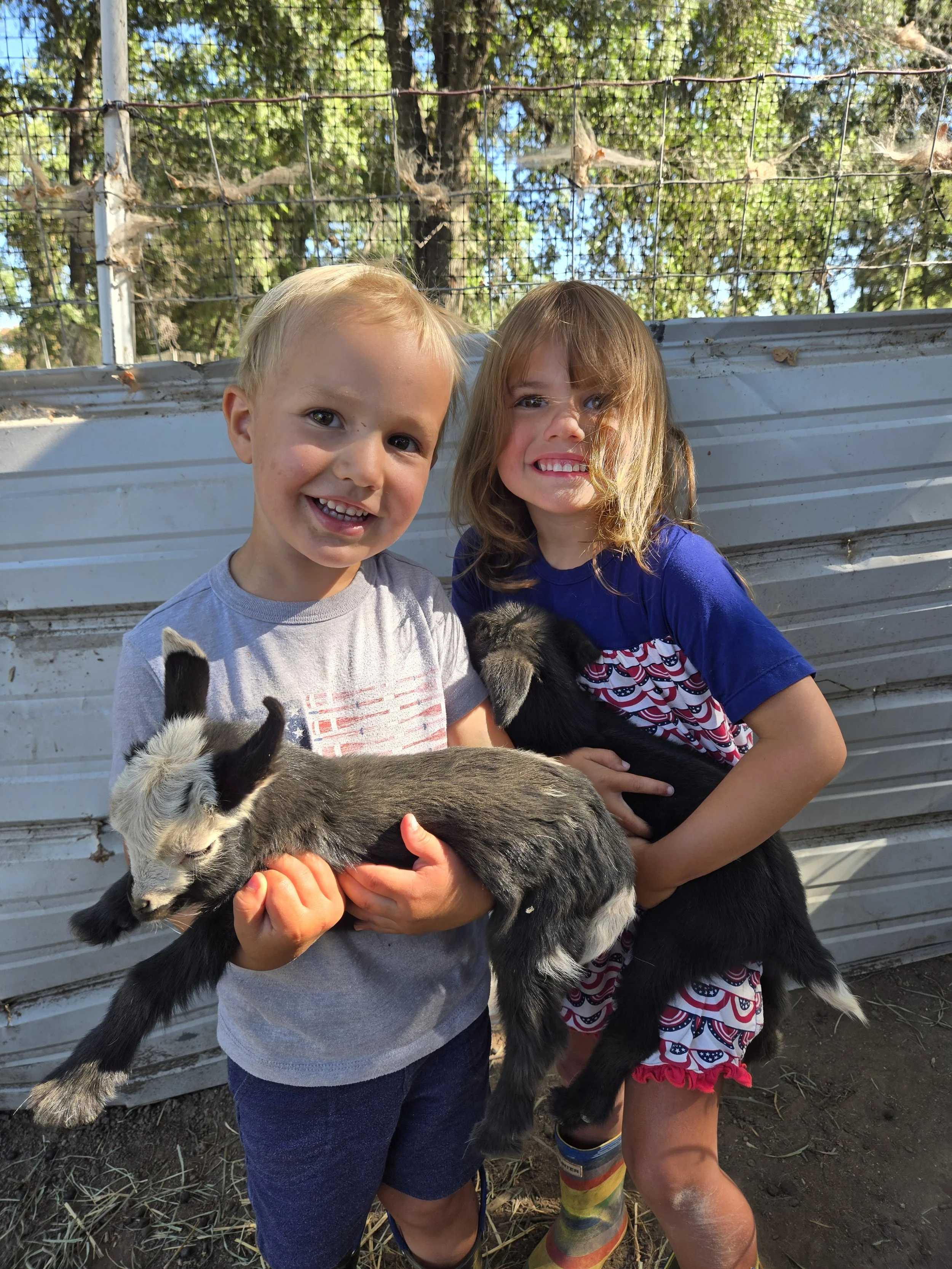 Two children, a boy and a girl, smiling and holding baby goats outdoors in front of a metal fence with trees in the background.