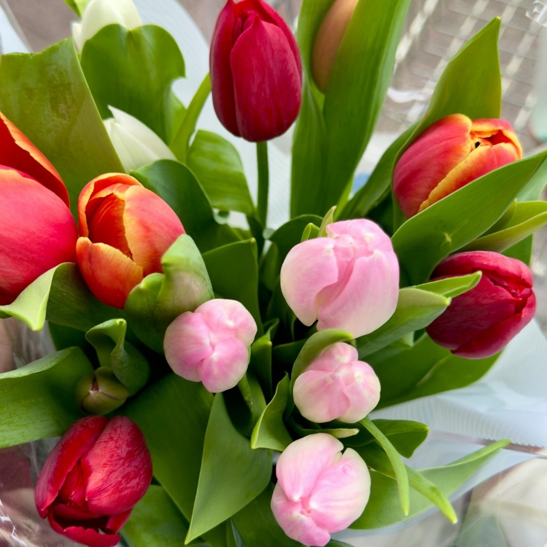 Tulip CSA & Valentine's Collection