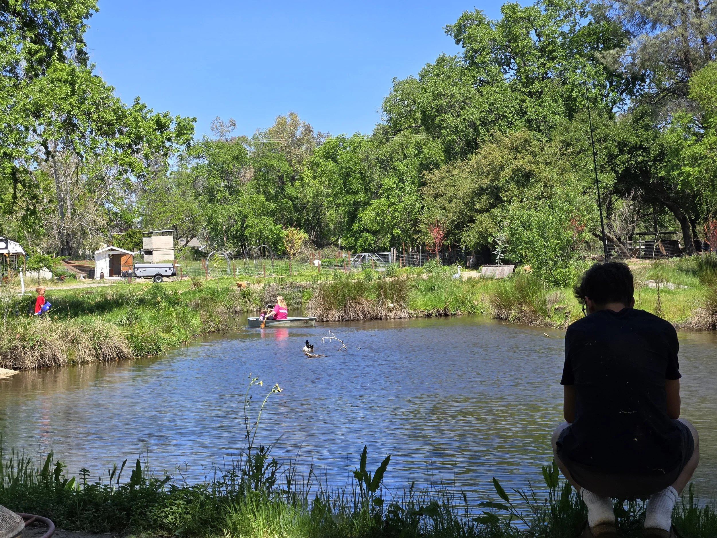 Bass Fishing on the Farm