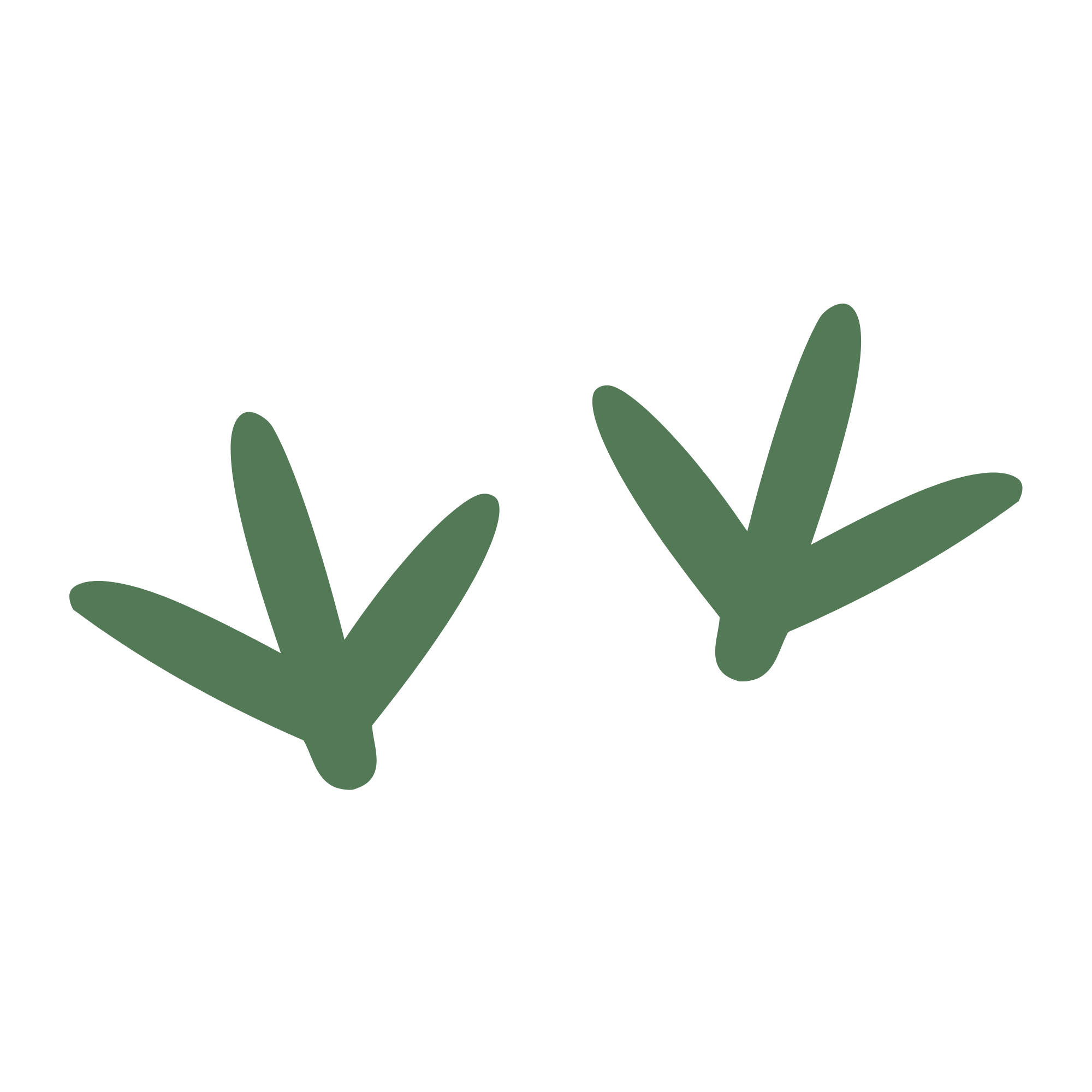 Simple illustration of two green plant branches with three leaves each, set against a black background.