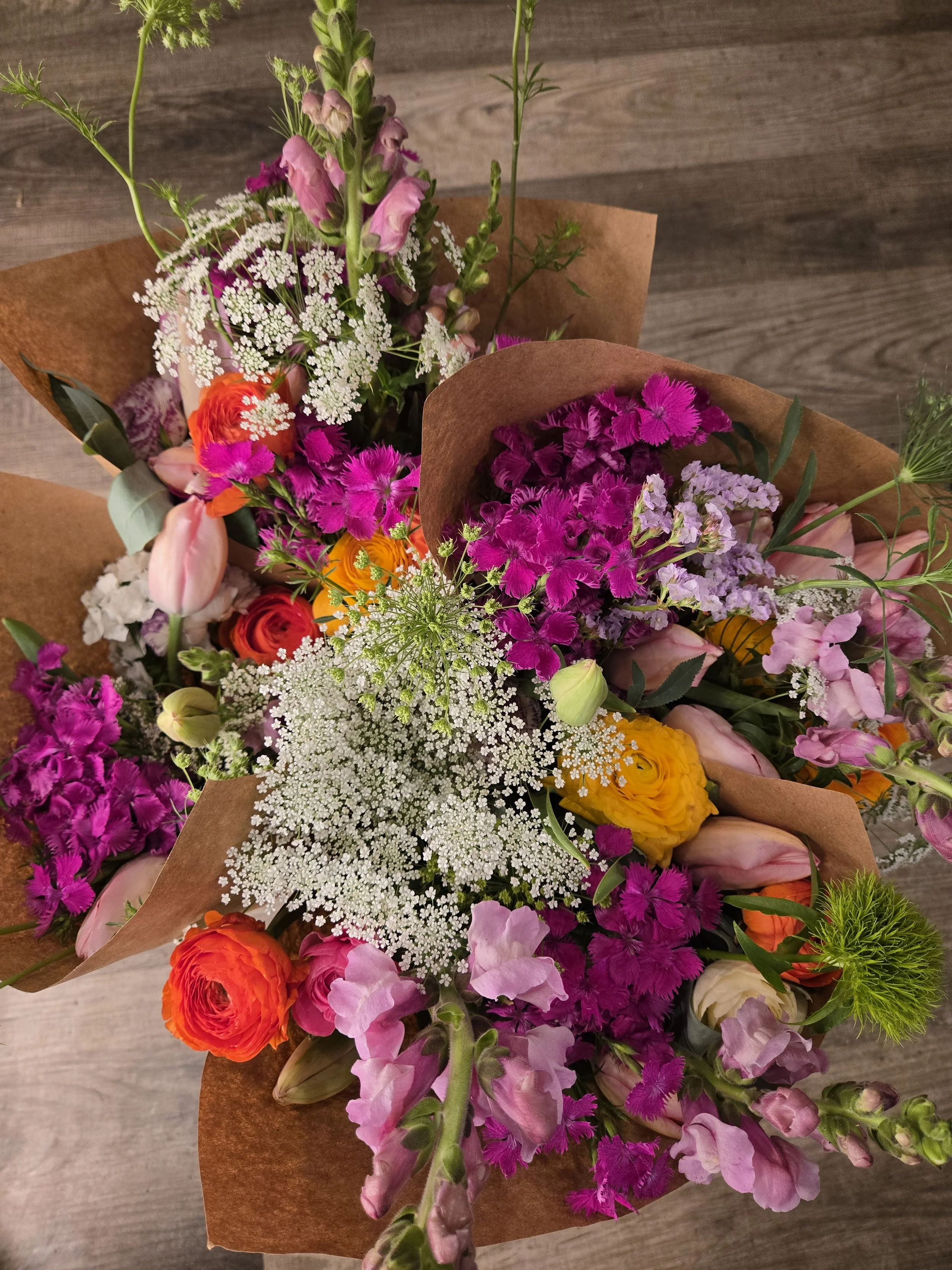 20260401_174823 (1).jpg