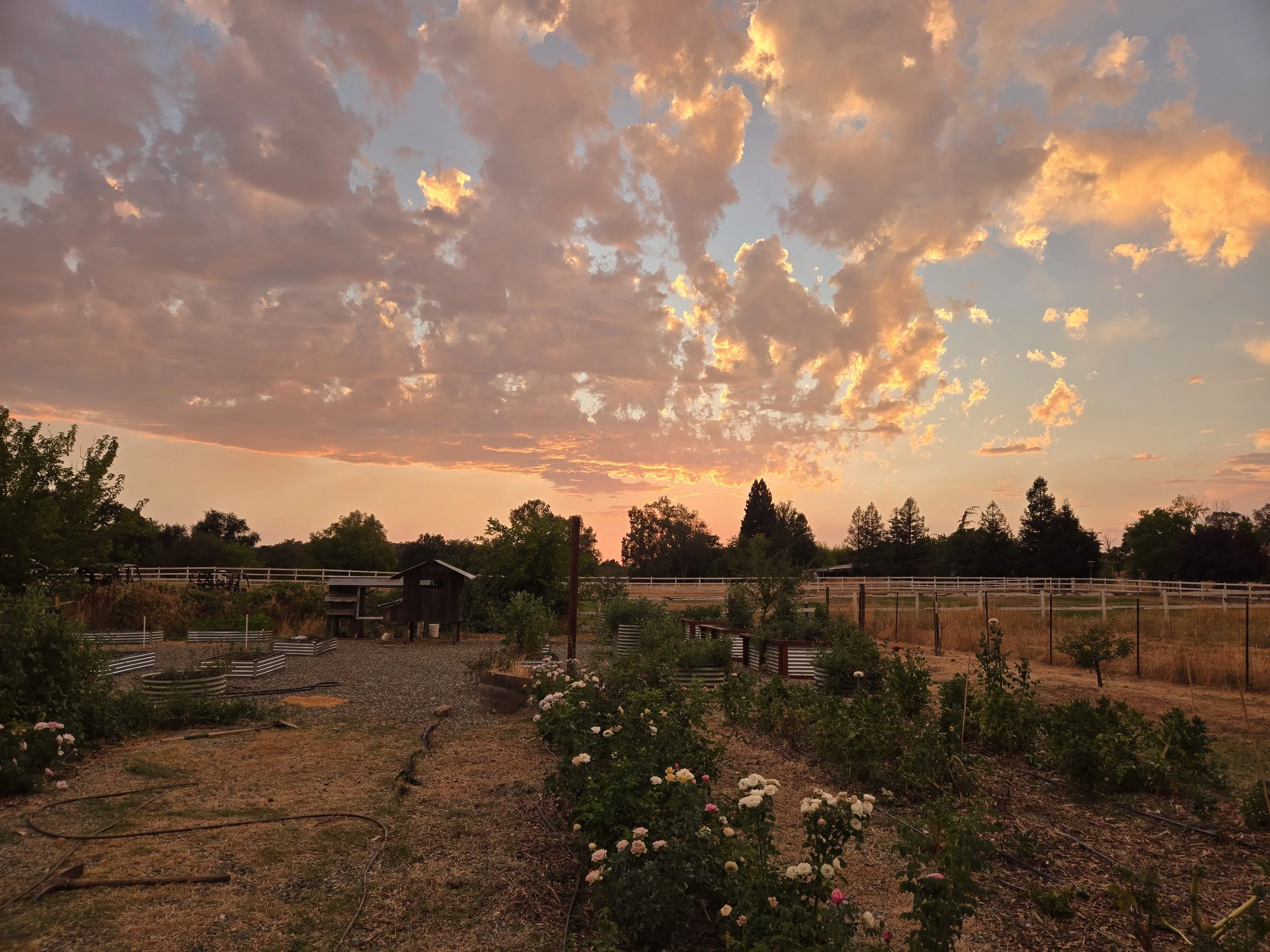 Private Group Farm Experience