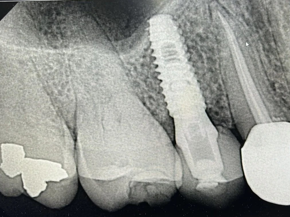 93798749-d60f-43fb-8a95-dbc80cd54655 2.jpg